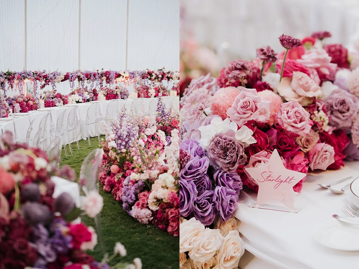 david kelly website_6.jpg