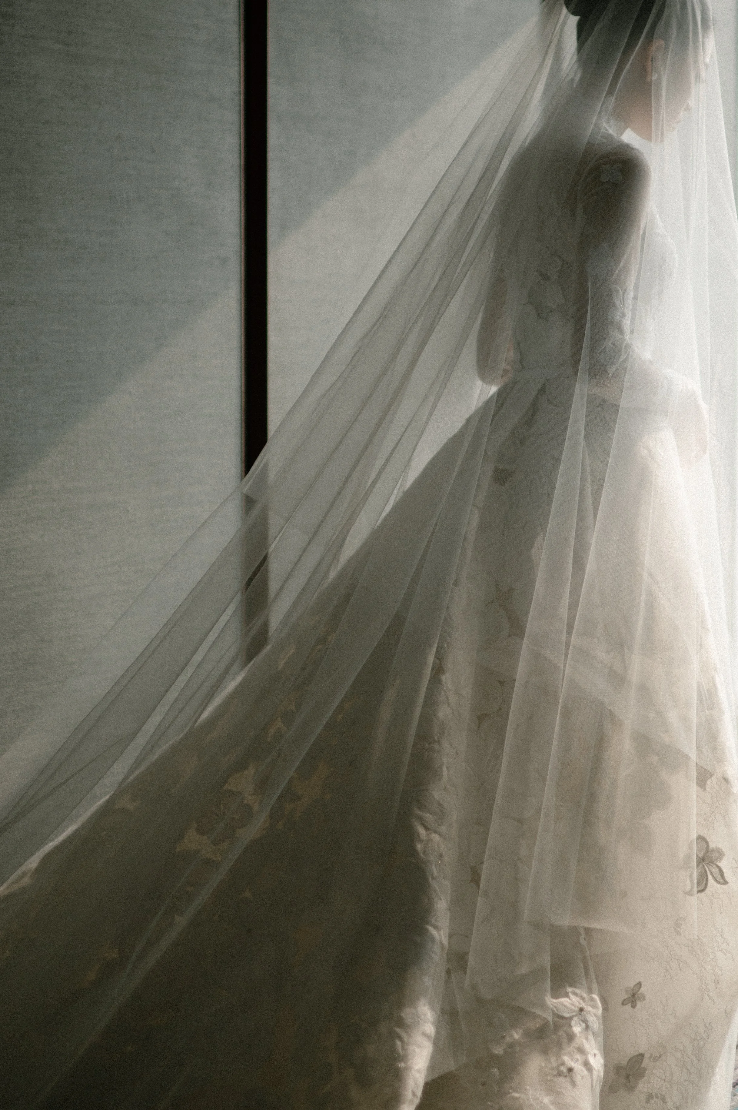 Antoni Celine Teaser-73.jpg