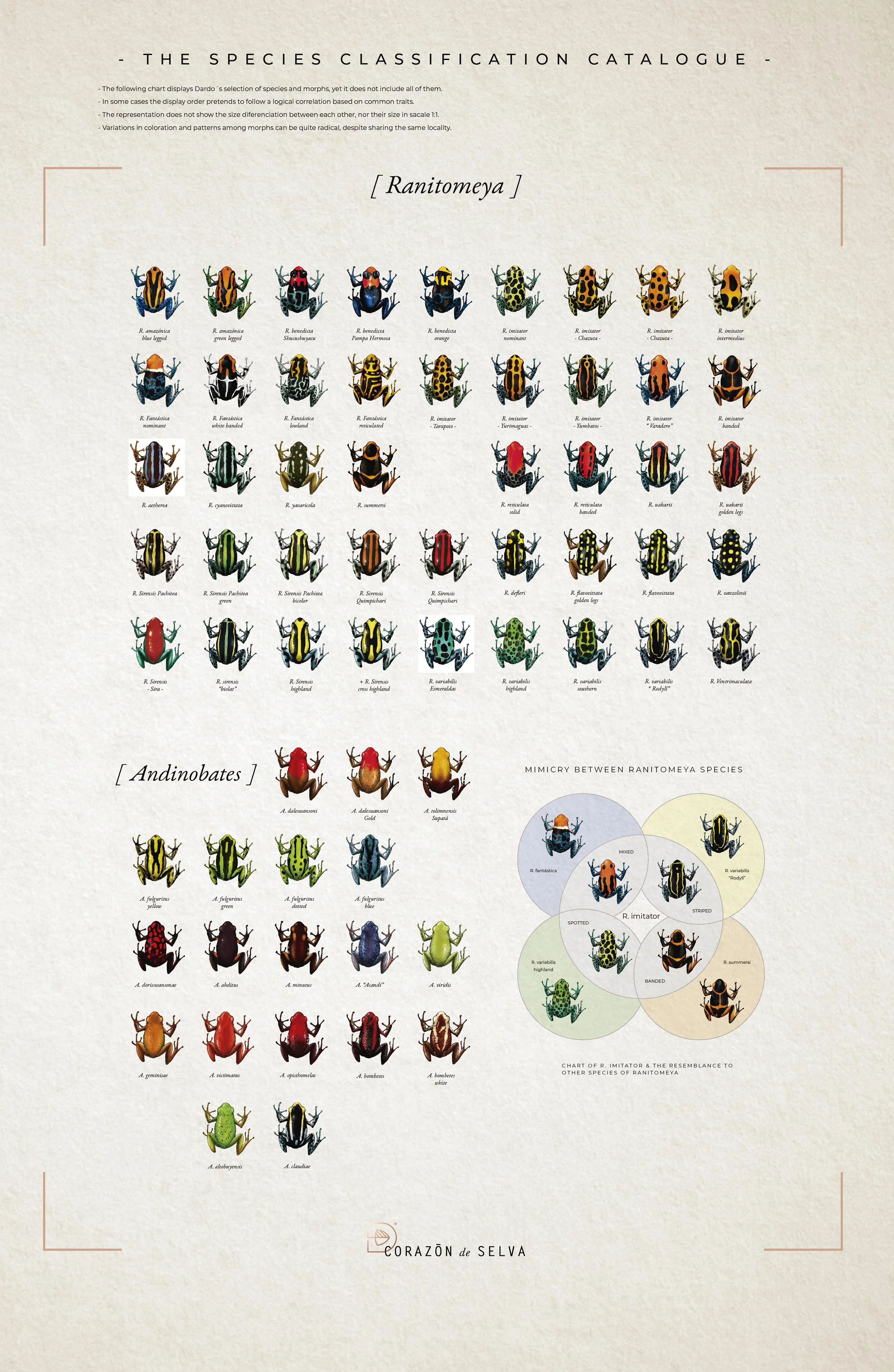 POSTERS SPECIES GROUPS-02-02.jpg (copia)