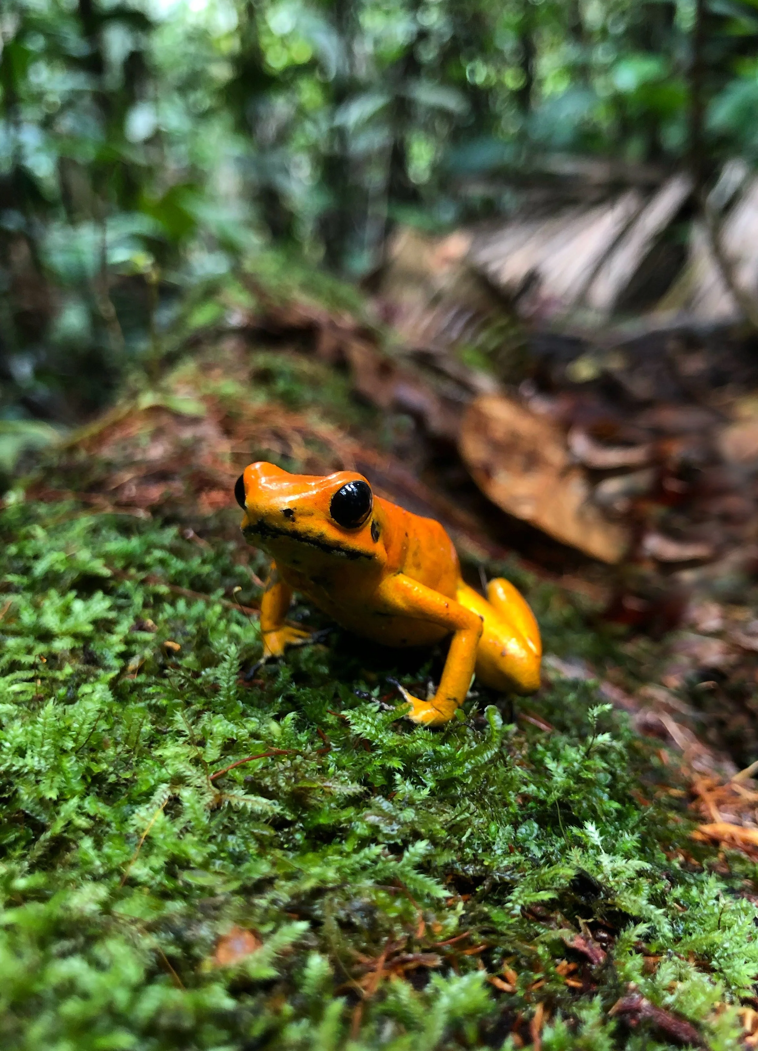 07922A00-ECD8-4796-8D57- edit.jpg