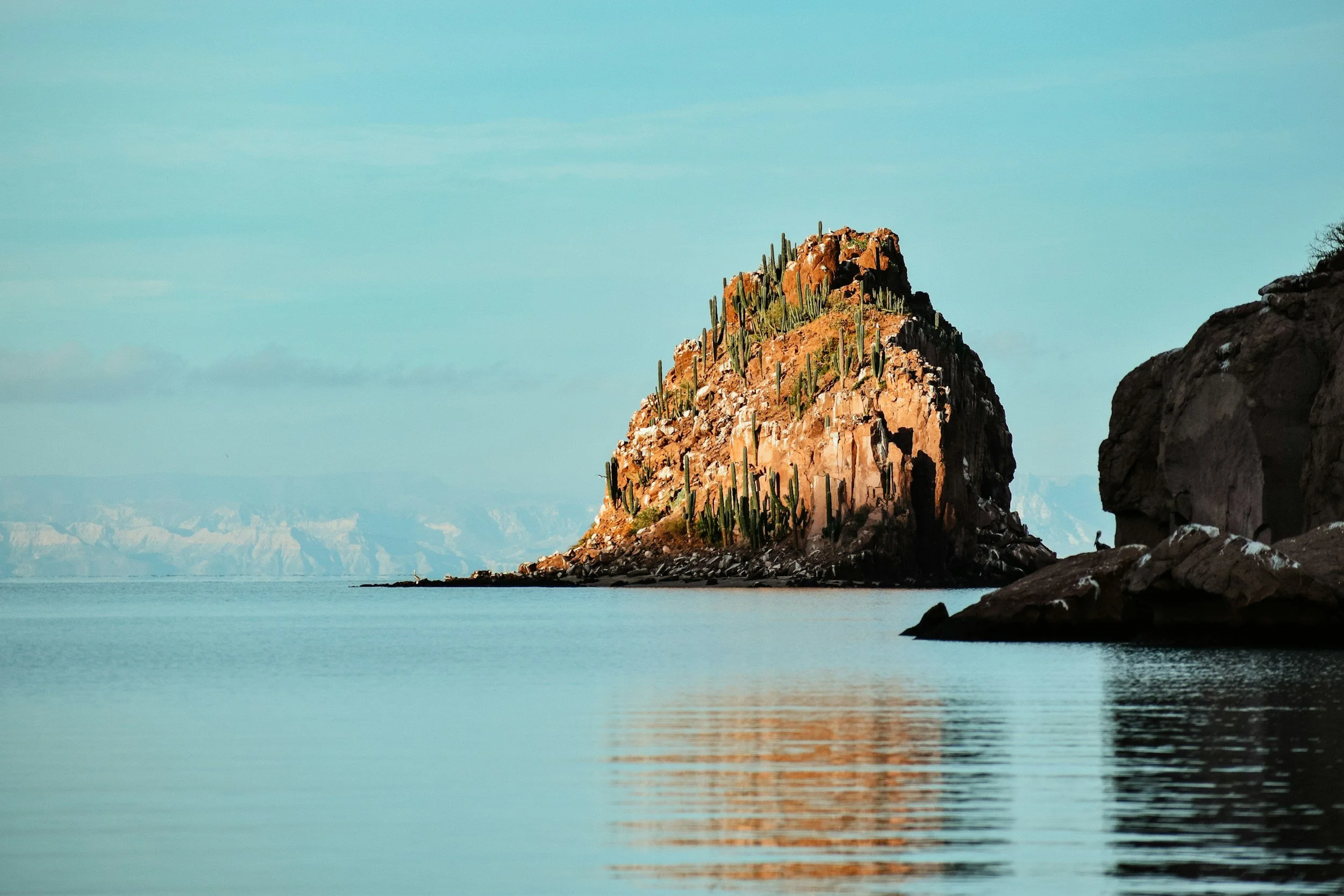 SEA OF CORTEZ (MEXICO)