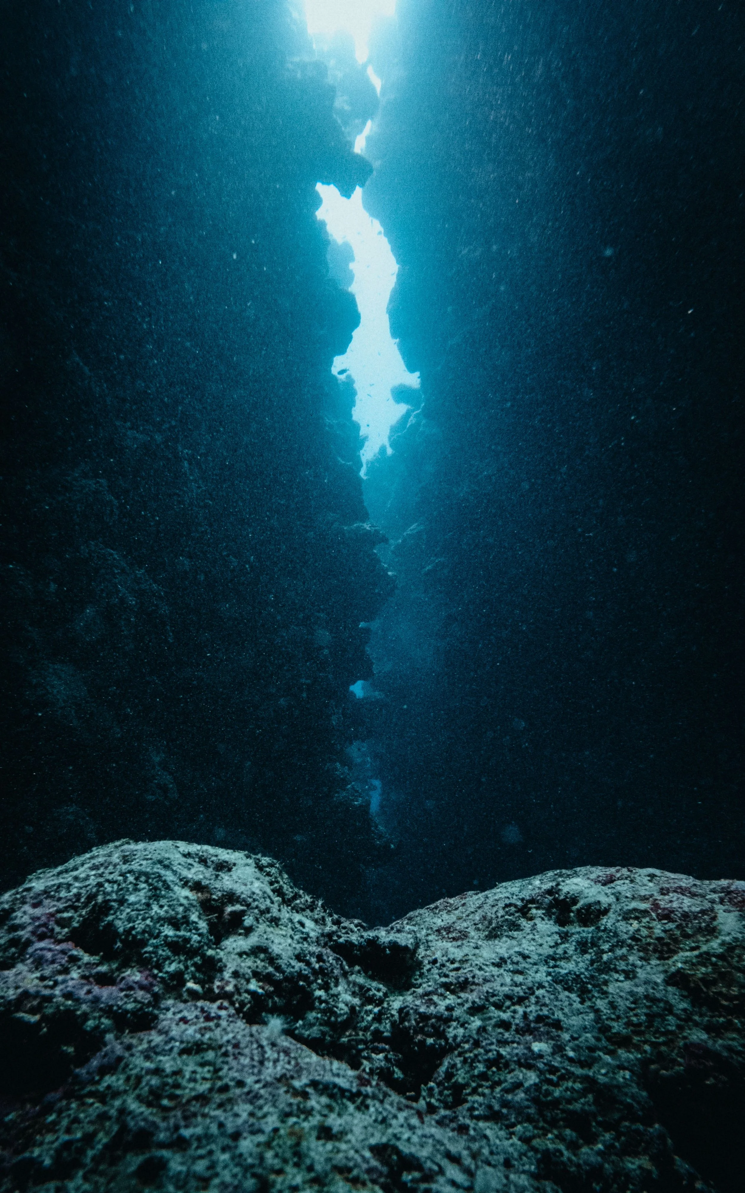 MARIANA TRENCH