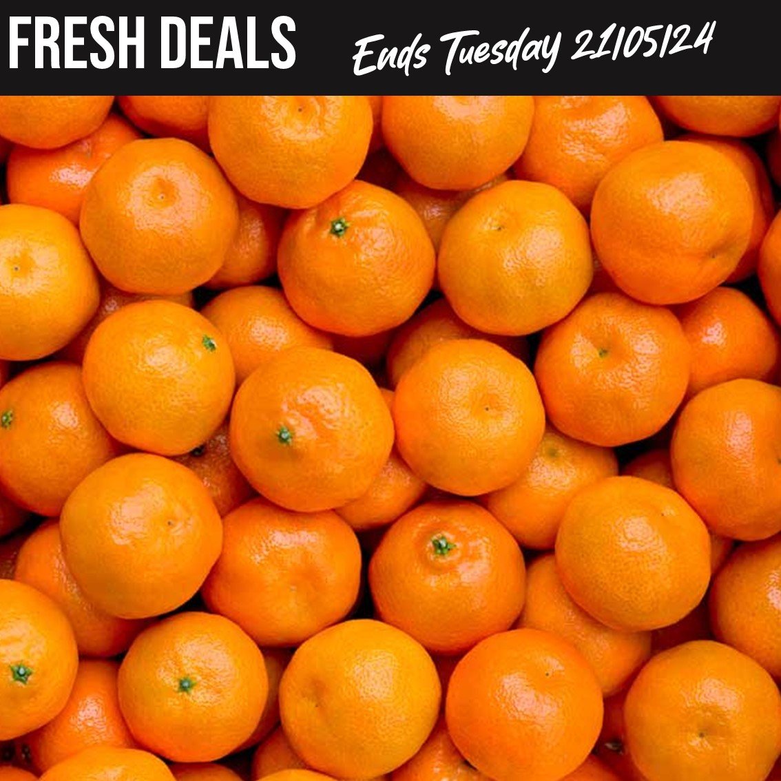 This week's Fresh Deals 🛒