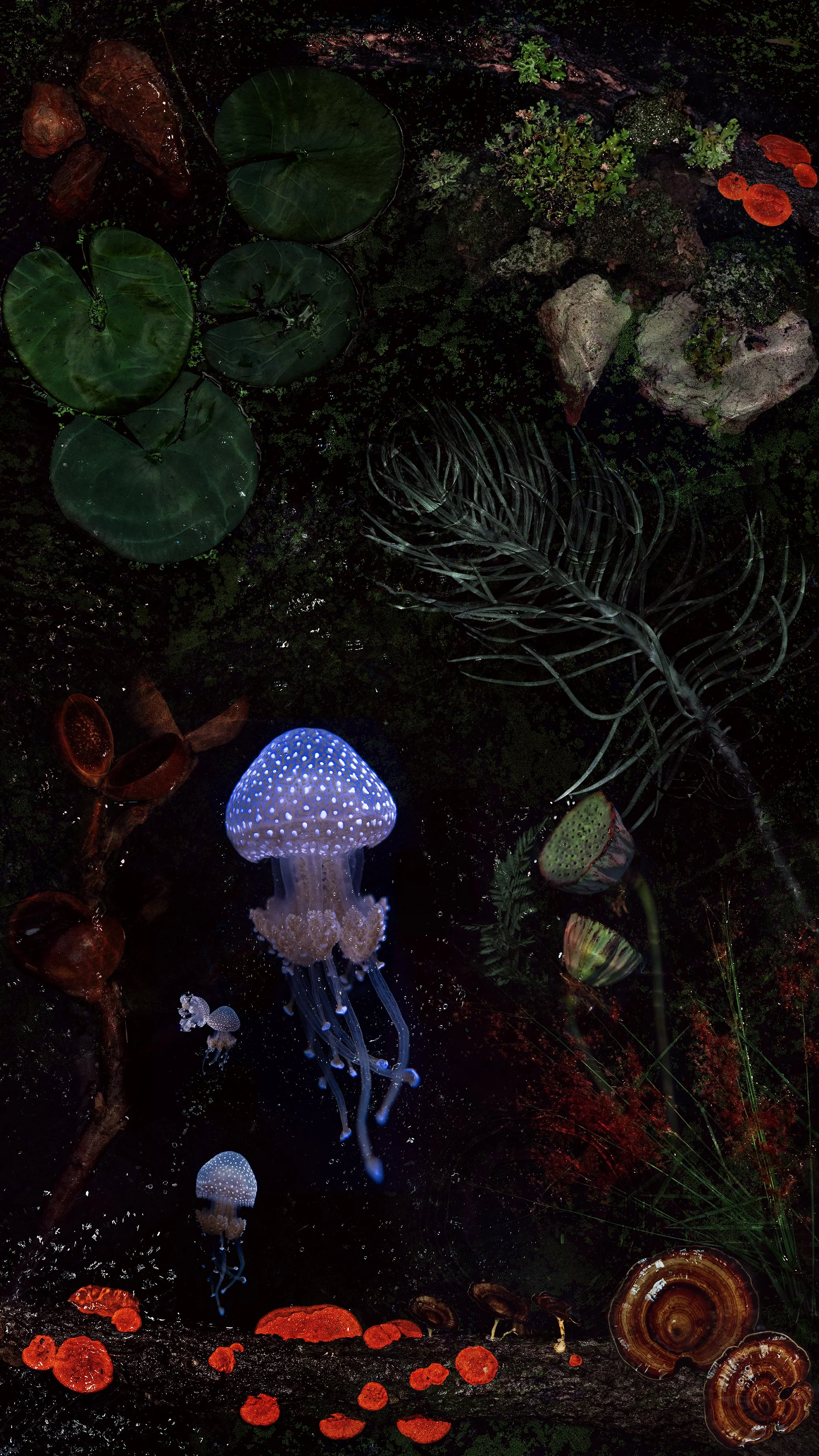 "Embryo" Panel 2/3 fThe Holocene Triptych - Collage Underwater