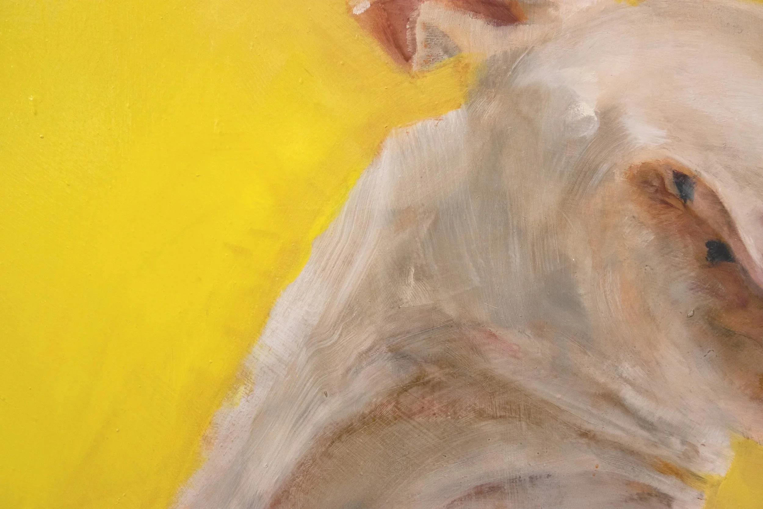 A sunny April’ 
20”x24” Oil on panel, Tray framed black.
£950