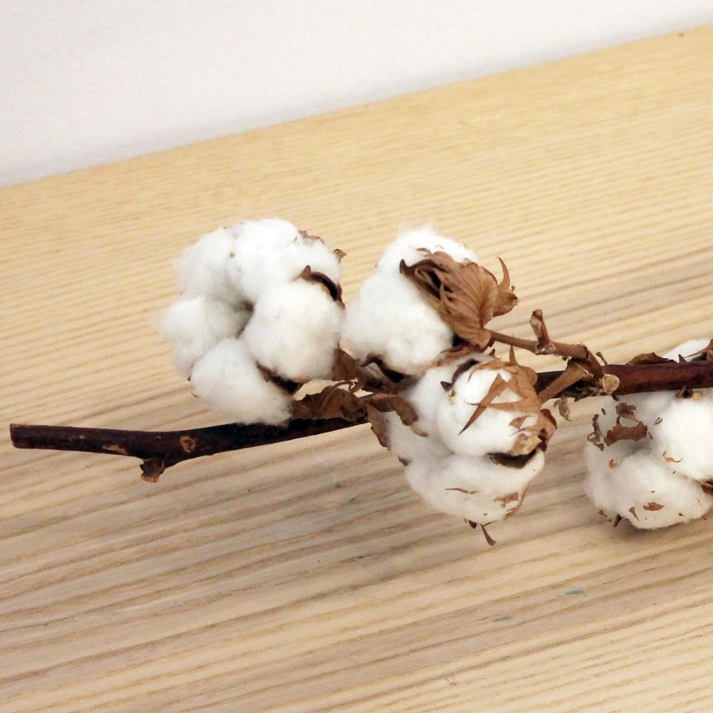 Añade un toque natural con las Varas de algodón — Grace and Soul