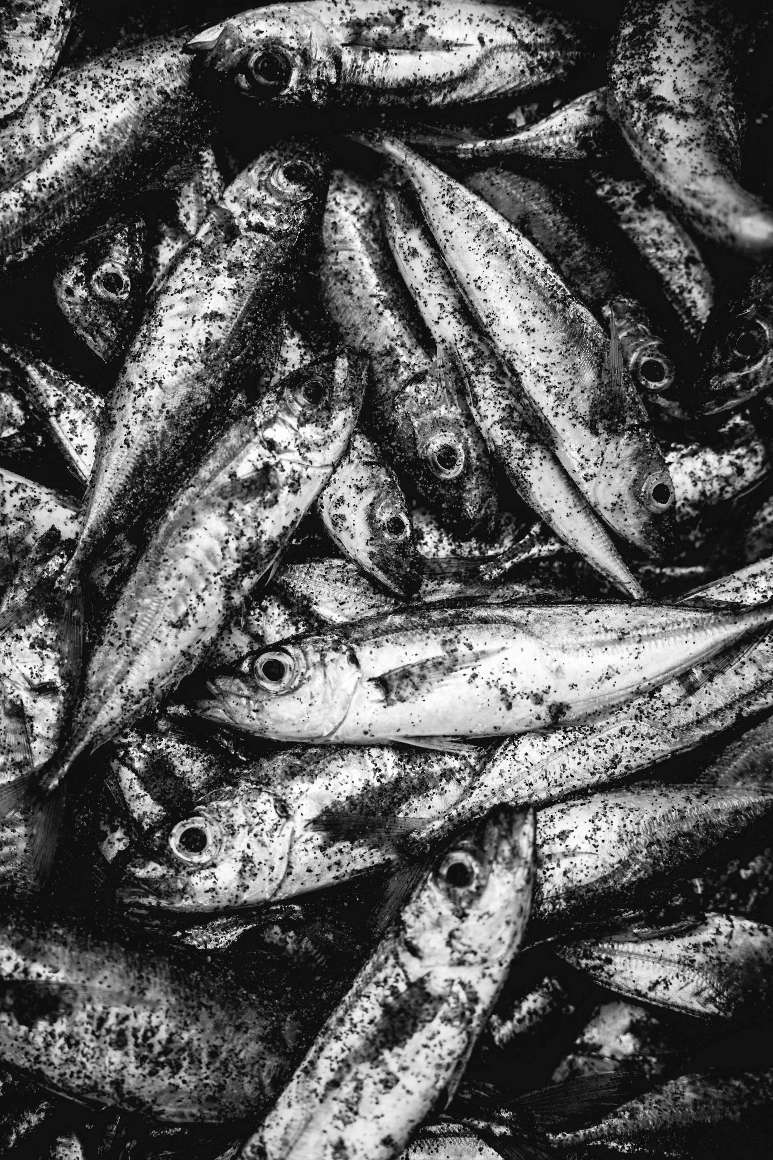 Just Weekend-175.jpg