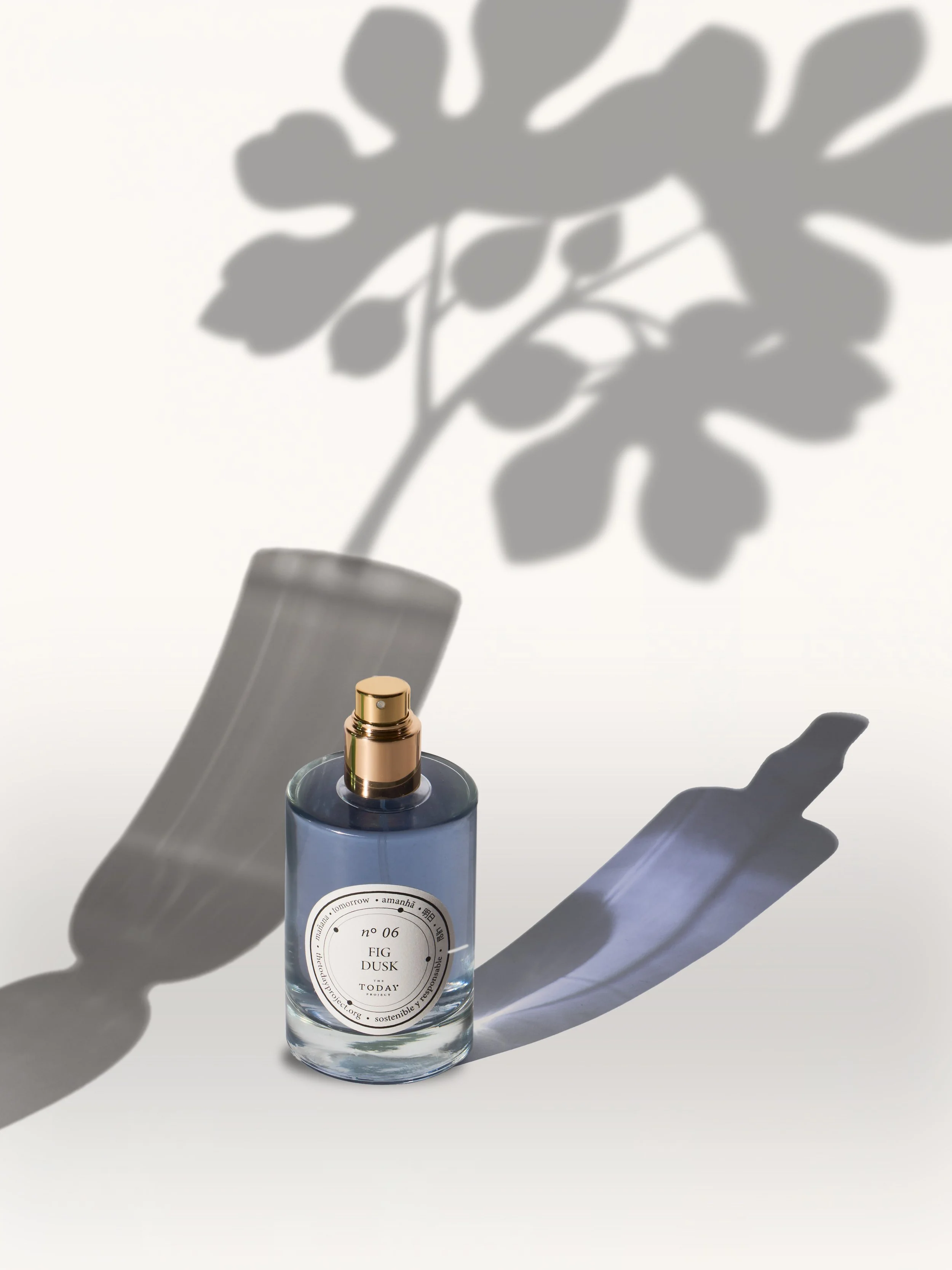 Nº6 con sombras higo.jpg