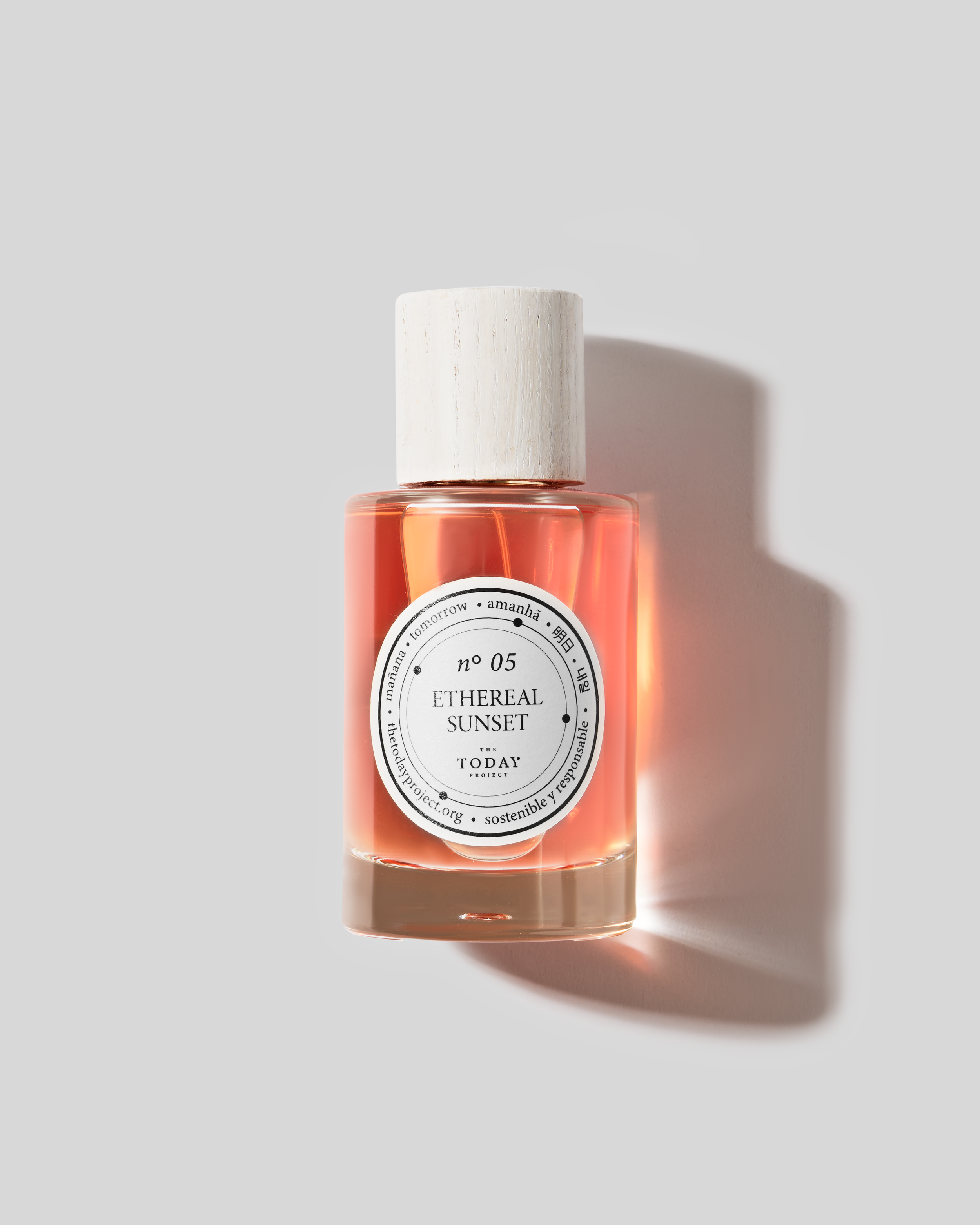 n5 ES EDP grau schattiert.png