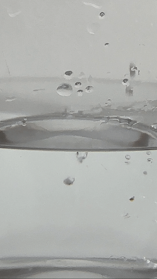 IMG_7353.gif