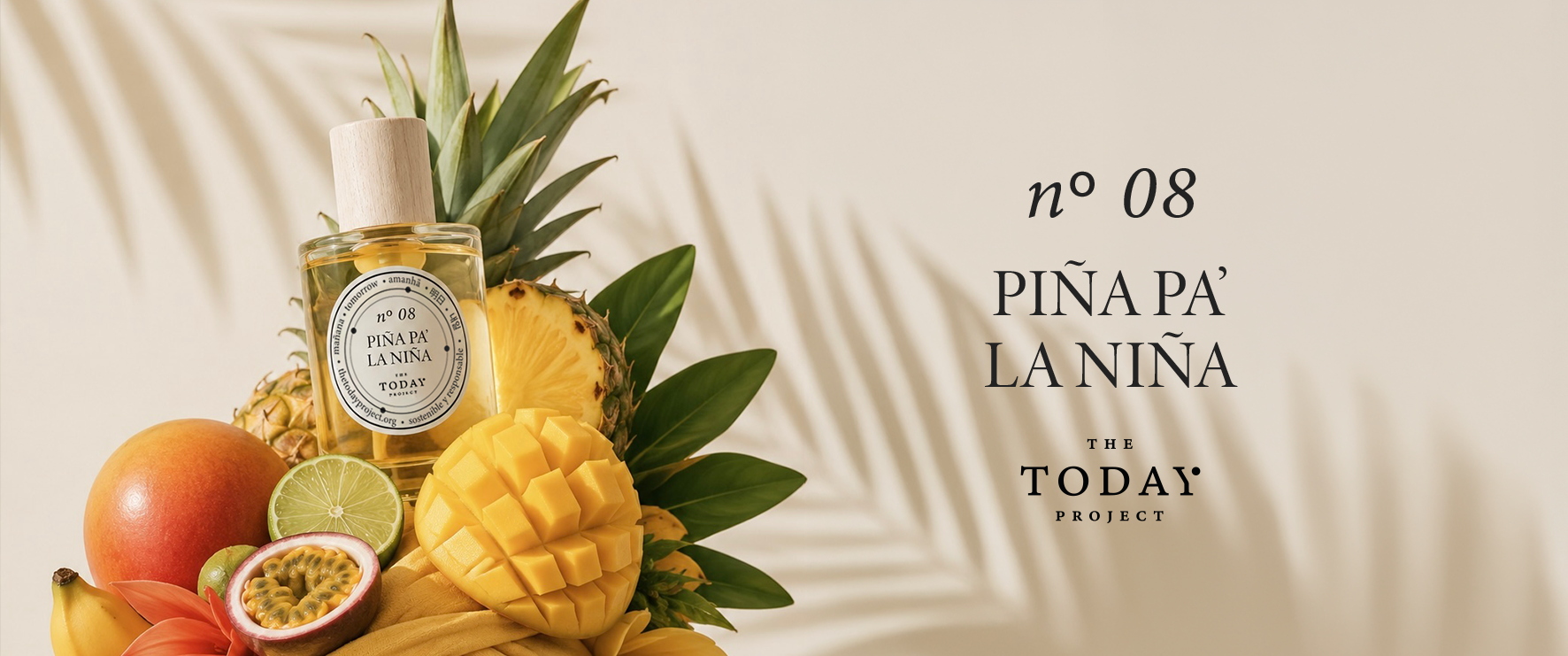 baner PIÑA.png