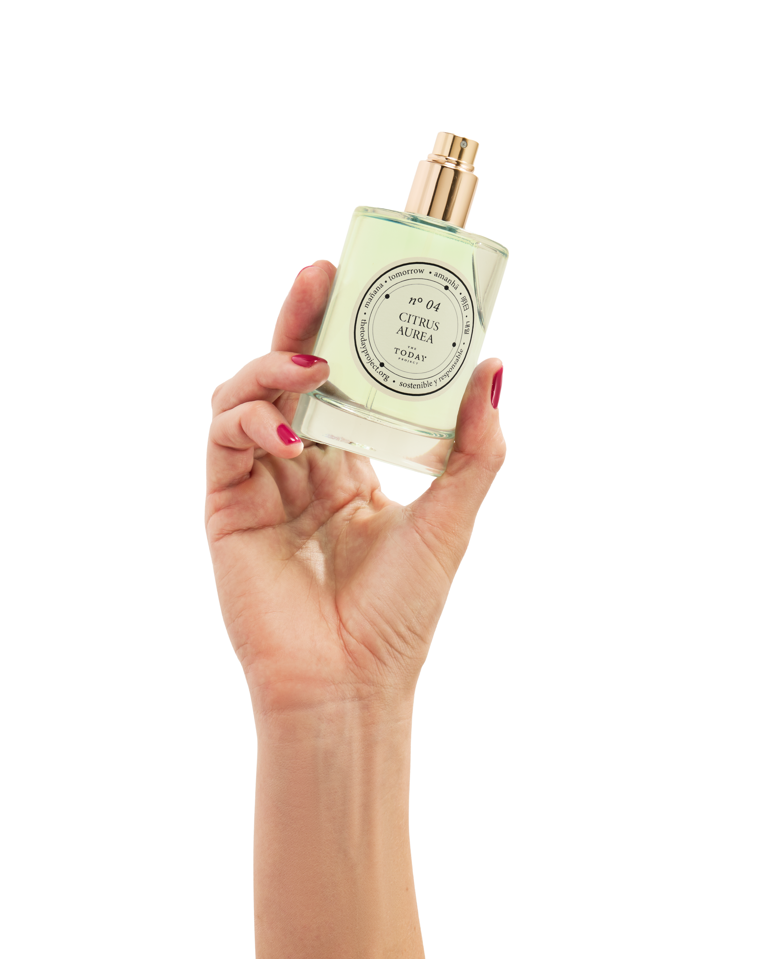 n4 CA EDP mano sin fondo.png