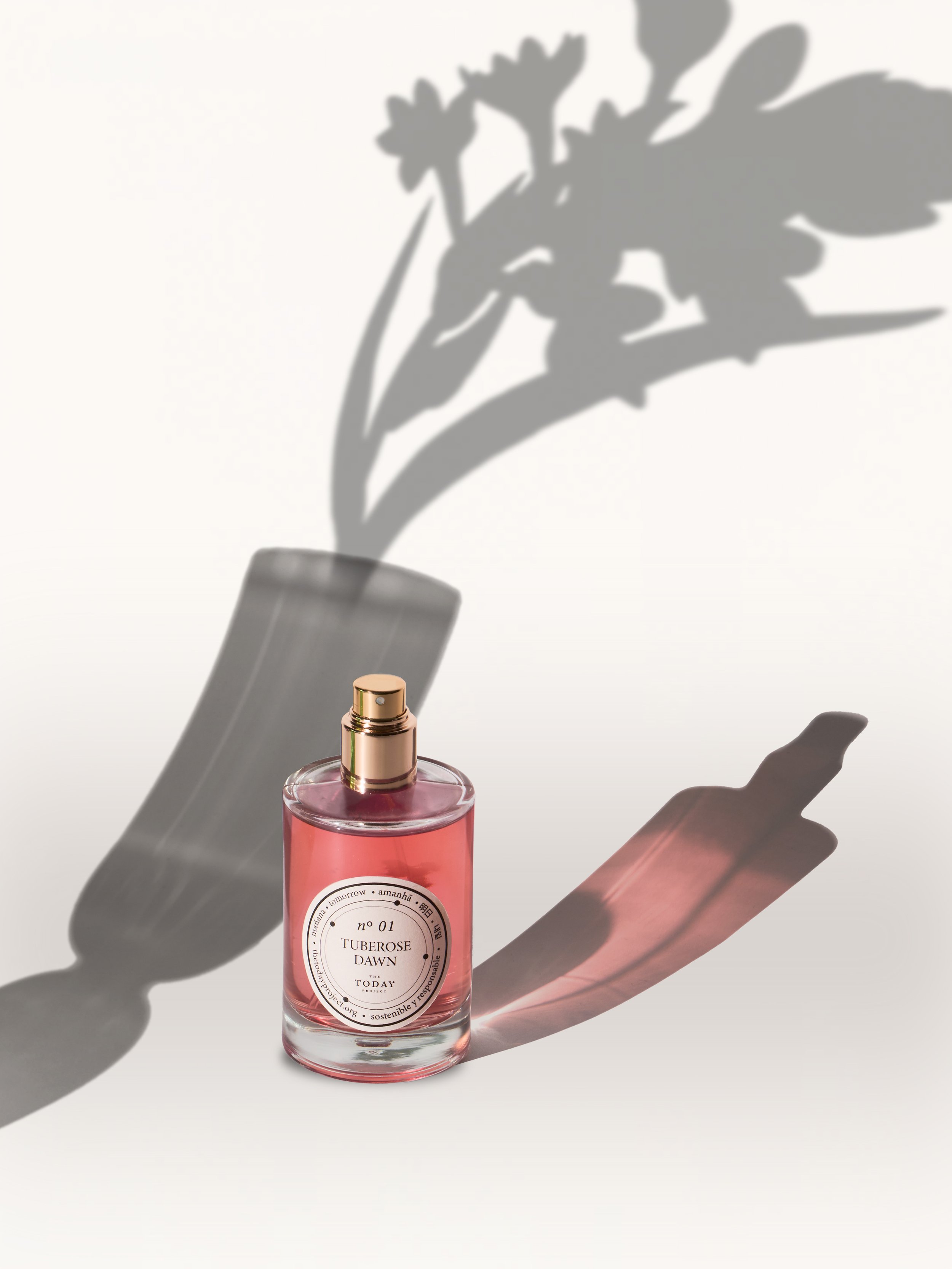 Nº1 con sombras tuberosa.jpg