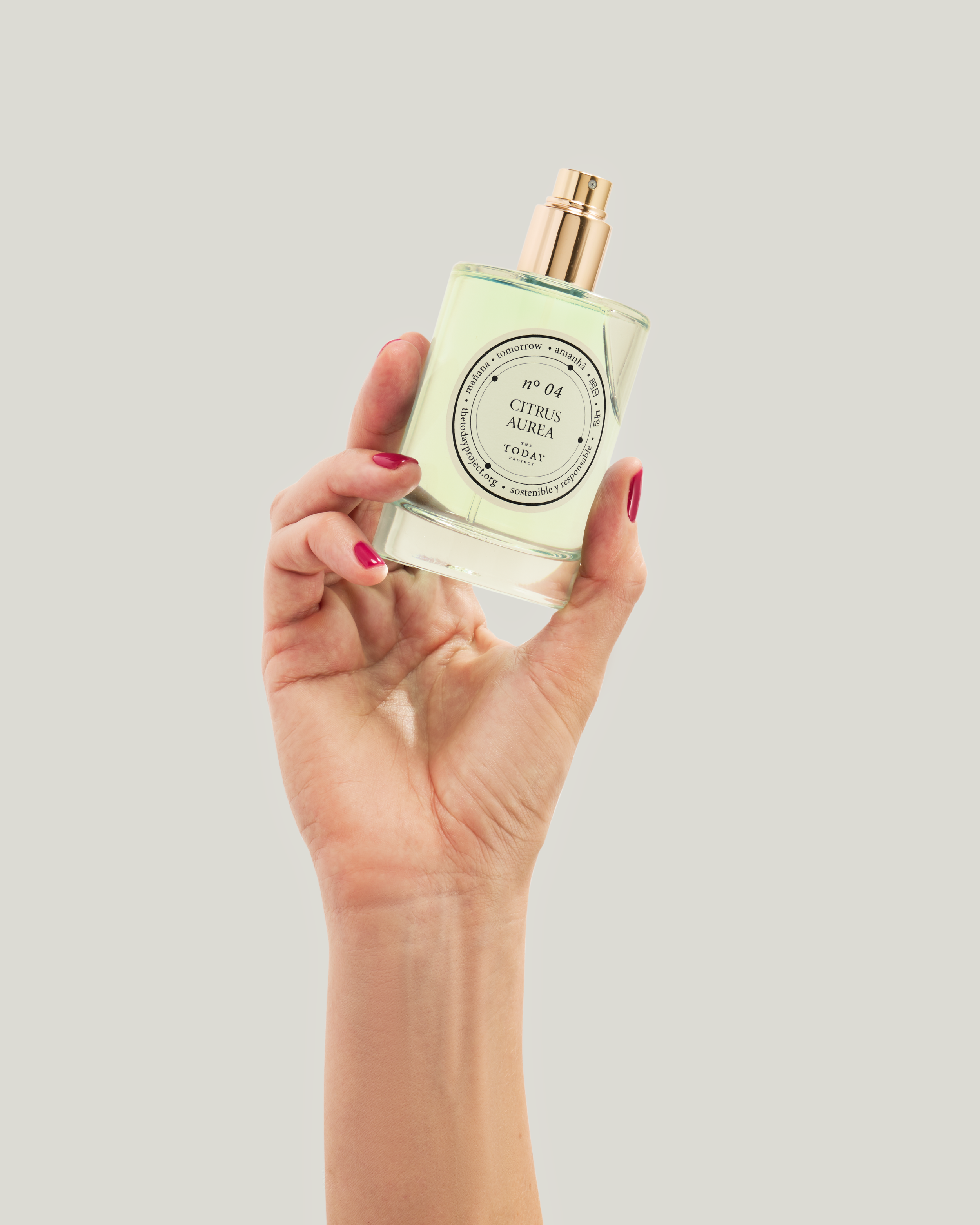 n4 CA EDP mano fondo gris.png