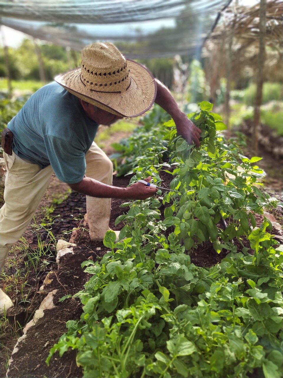 WhatsApp Image 2020-11-05 at 23.13.40 (1).jpeg