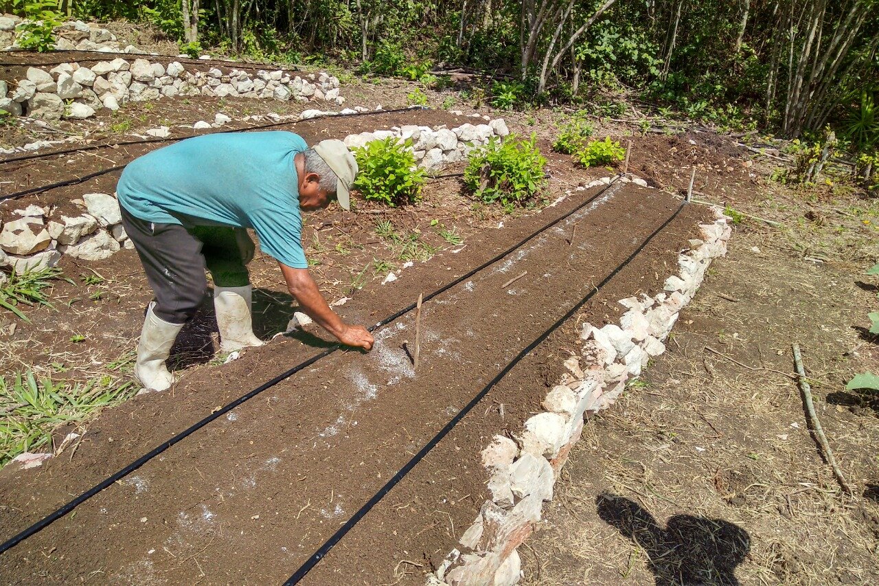 WhatsApp Image 2020-11-05 at 23.13.41.jpeg