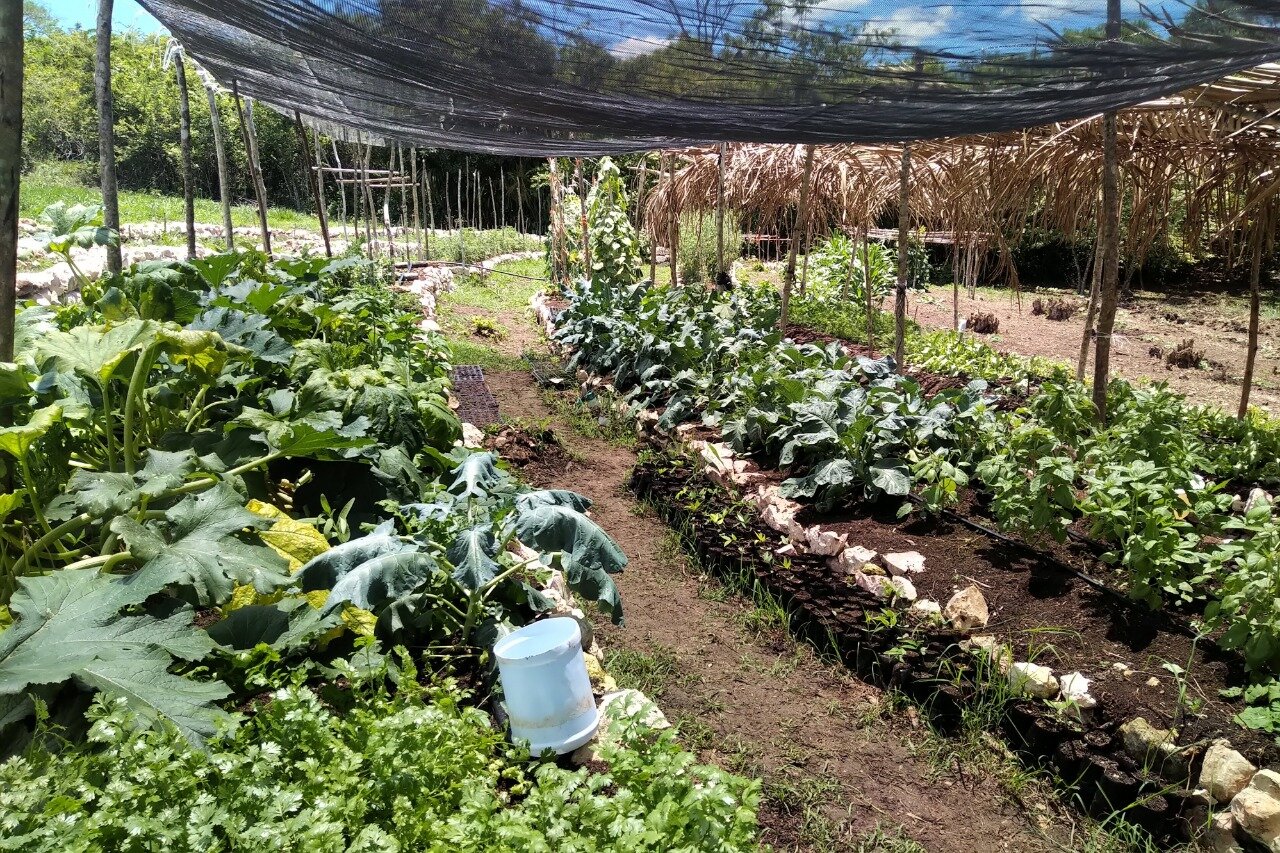 WhatsApp Image 2020-11-05 at 23.13.40.jpeg