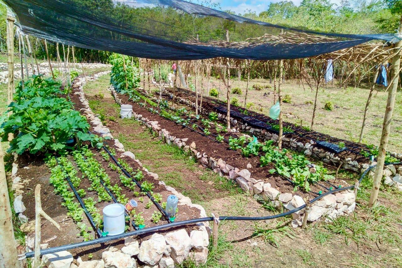 WhatsApp Image 2020-11-05 at 23.13.39 (1).jpeg