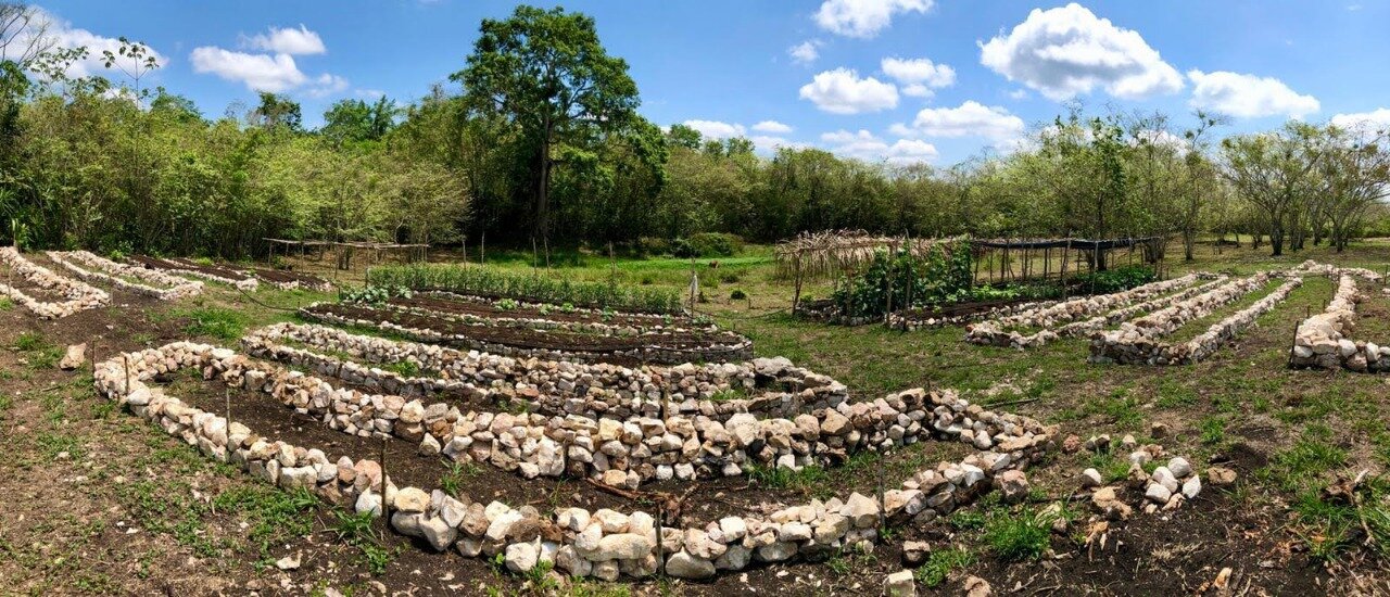 WhatsApp Image 2020-11-05 at 23.13.39.jpeg