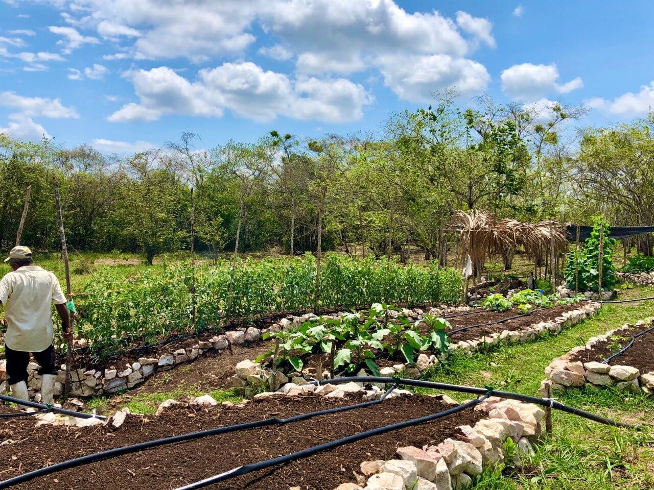 WhatsApp Image 2020-11-05 at 23.13.38.jpeg