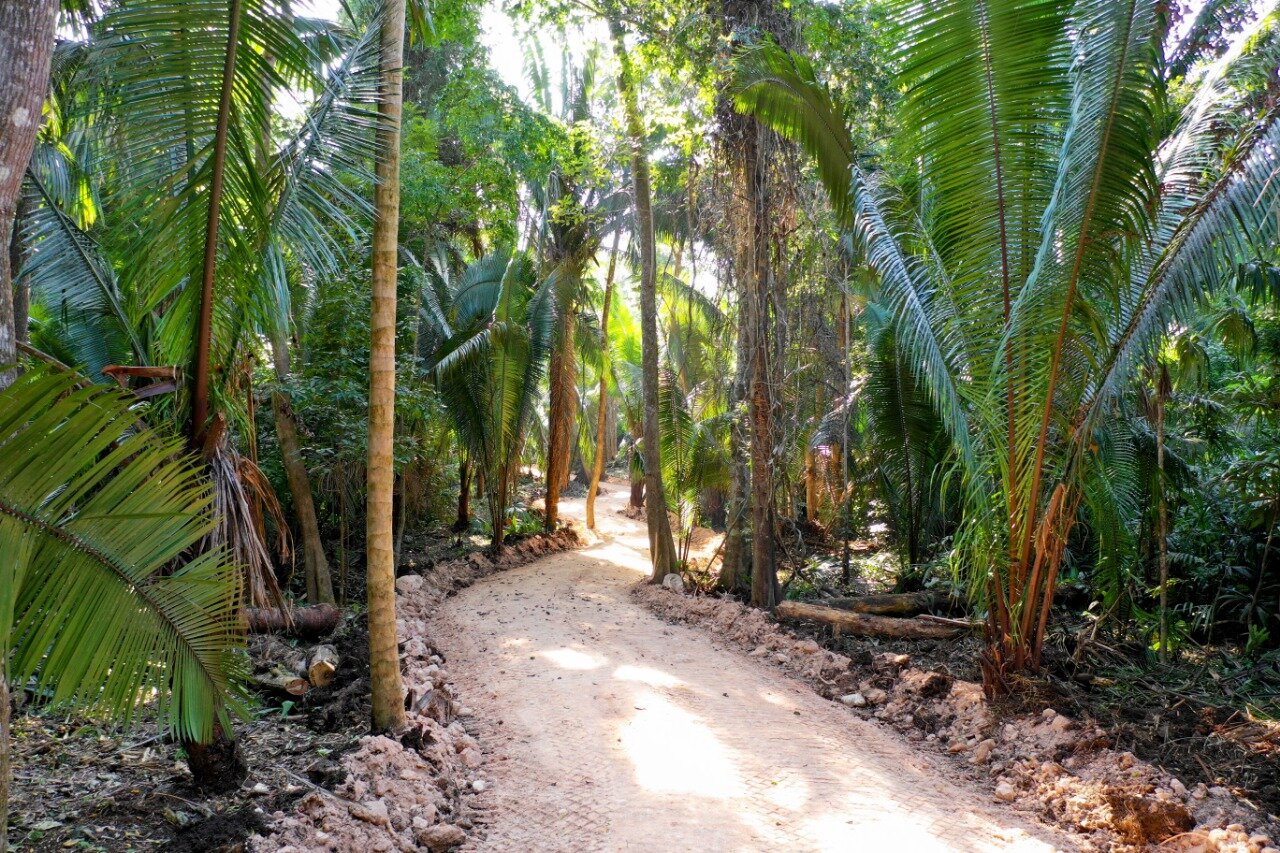 WhatsApp Image 2020-11-05 at 23.19.50 (1).jpeg