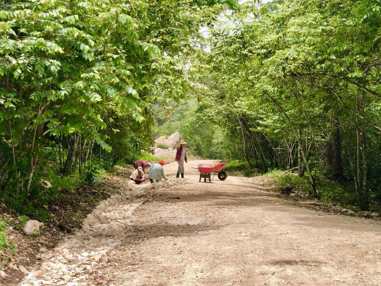 WhatsApp Image 2020-11-05 at 23.18.23 (1).jpeg