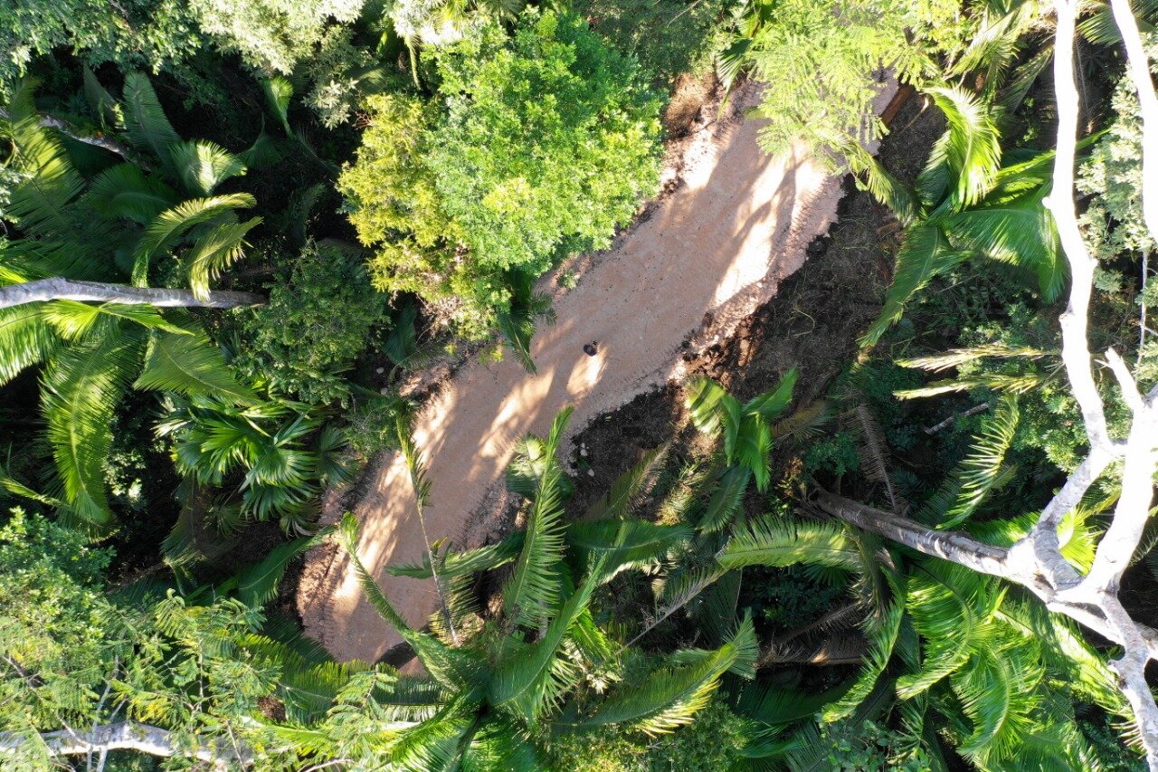 WhatsApp Image 2020-11-05 at 23.19.50.jpeg