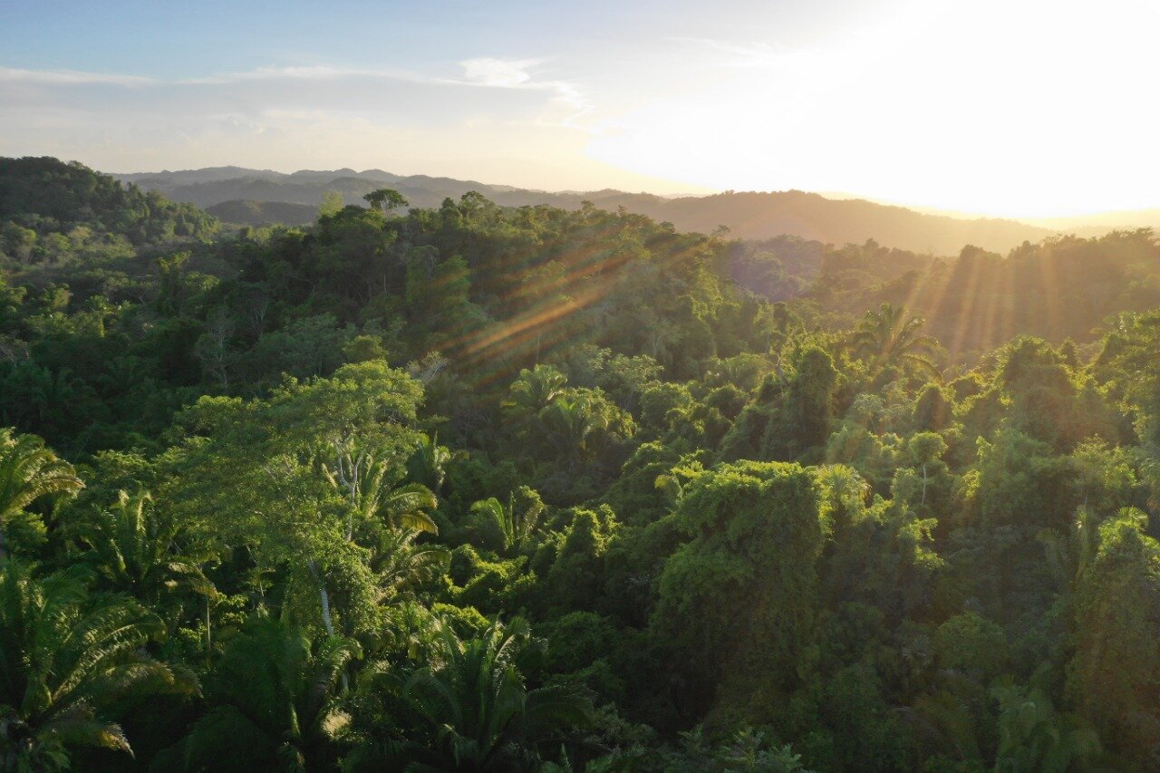 WhatsApp Image 2020-11-05 at 23.26.06.jpeg