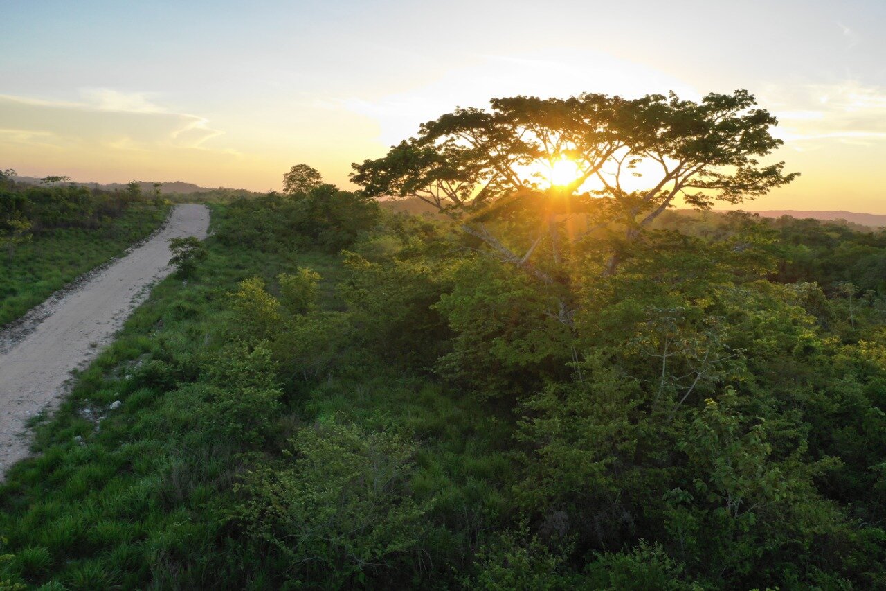 WhatsApp Image 2020-11-05 at 23.26.05 (2).jpeg