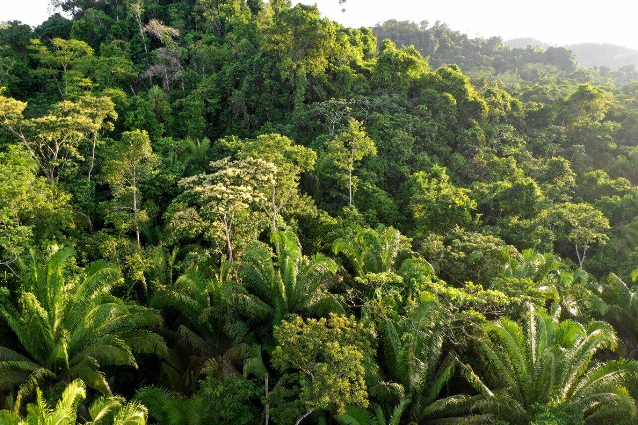 WhatsApp Image 2020-11-05 at 23.26.05.jpeg