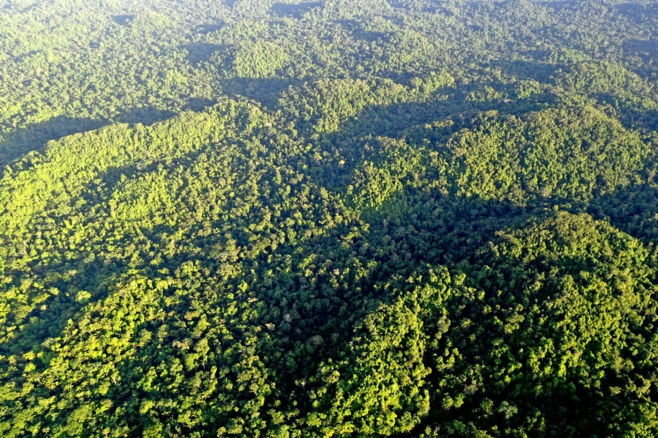 WhatsApp Image 2020-11-05 at 23.26.04.jpeg