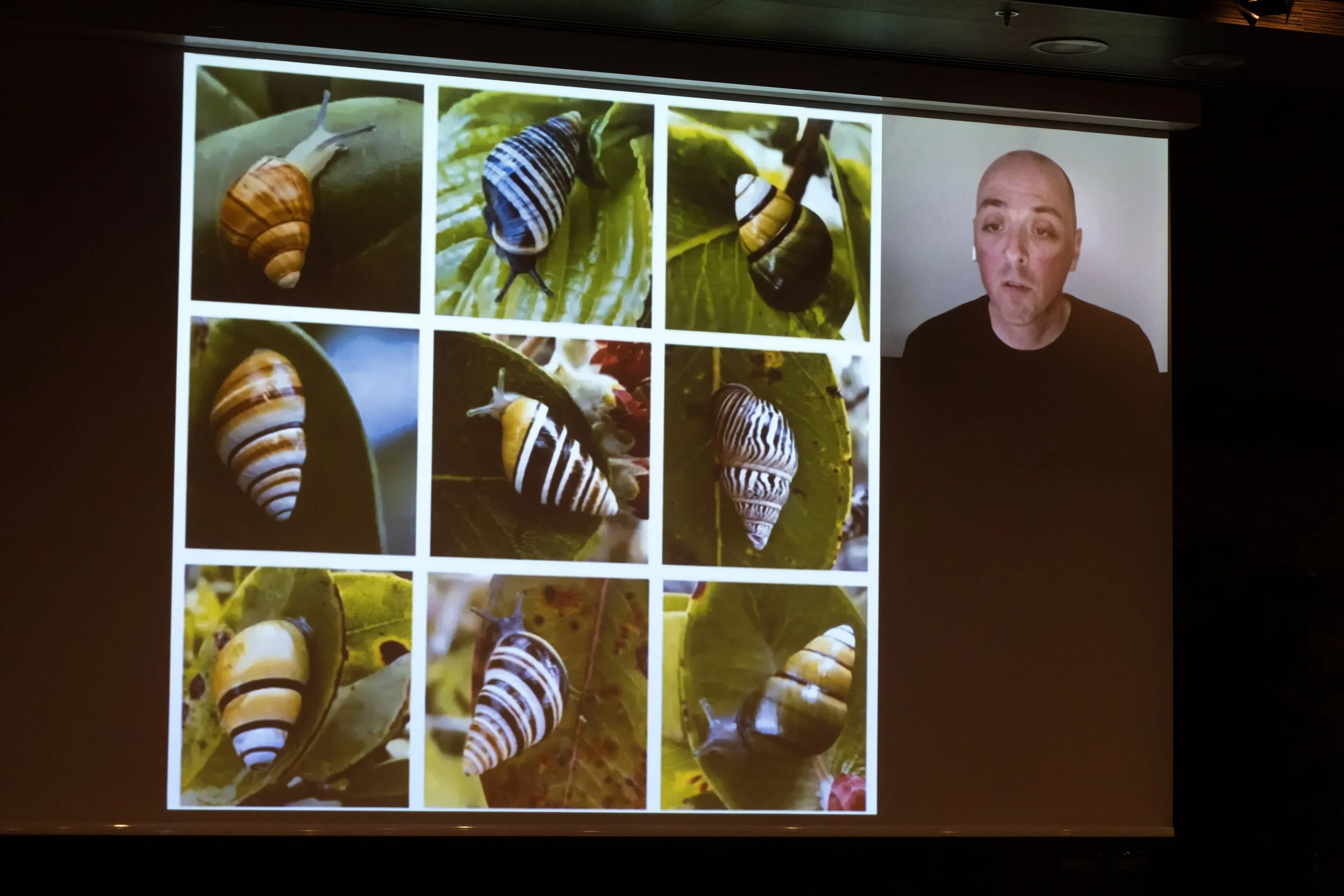 221117 International Conference 044nzgank.jpg