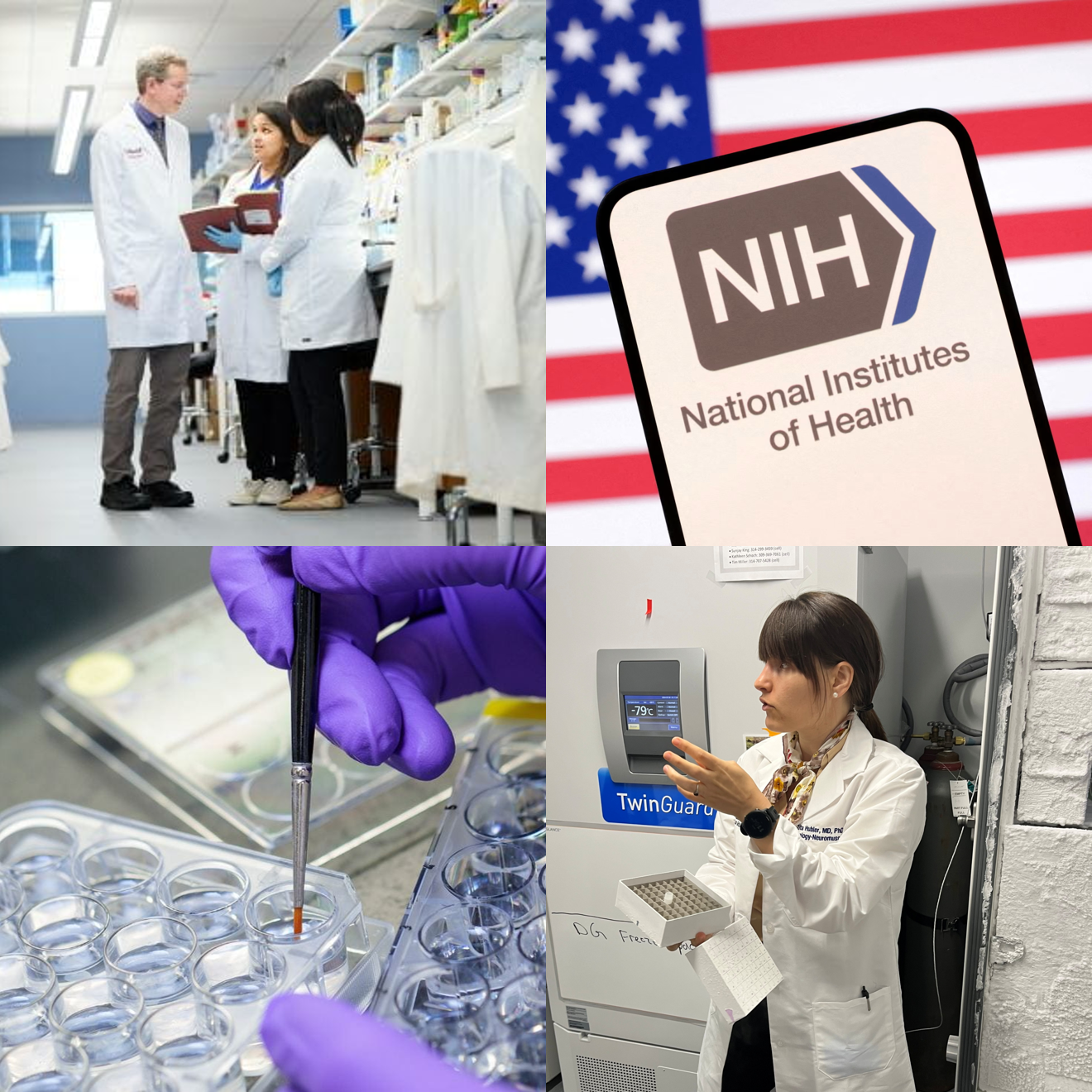 $250,000 NIH Grant