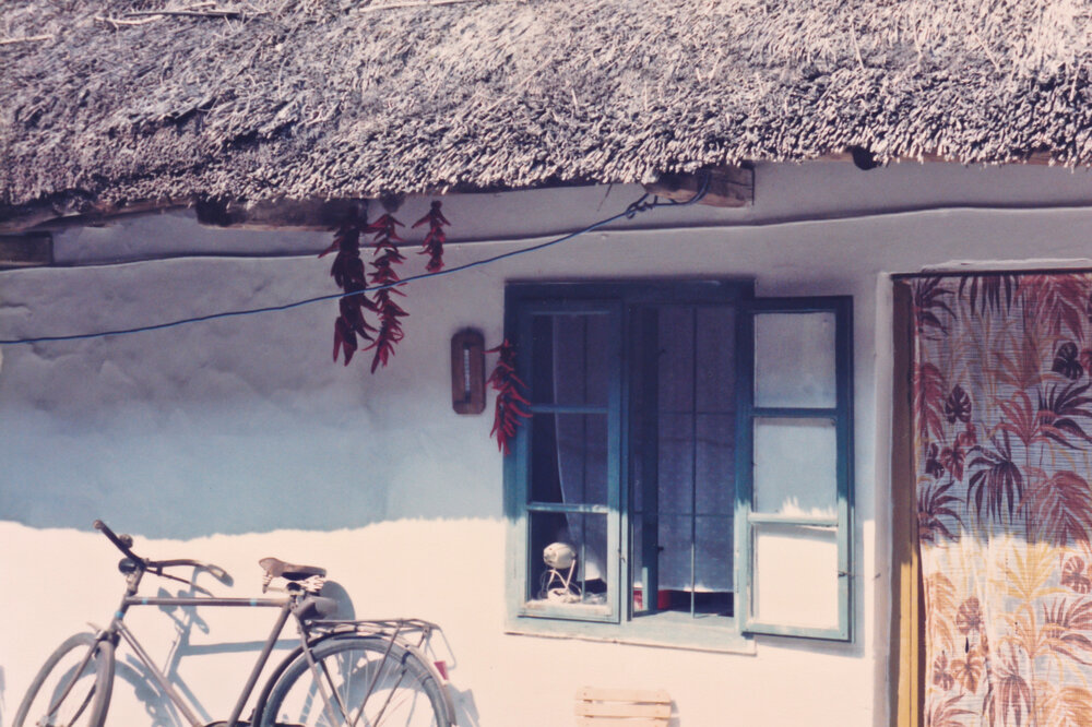 Kitchen window and granddad's bicycle