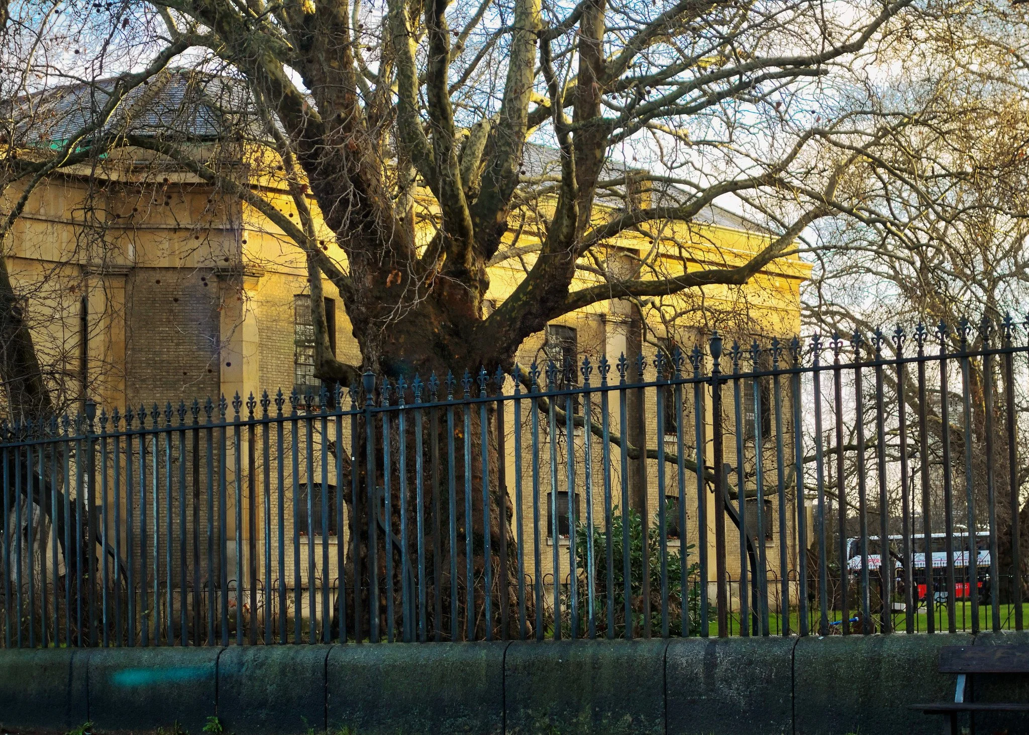 Morning light, St Mark's Churchyard, Oval