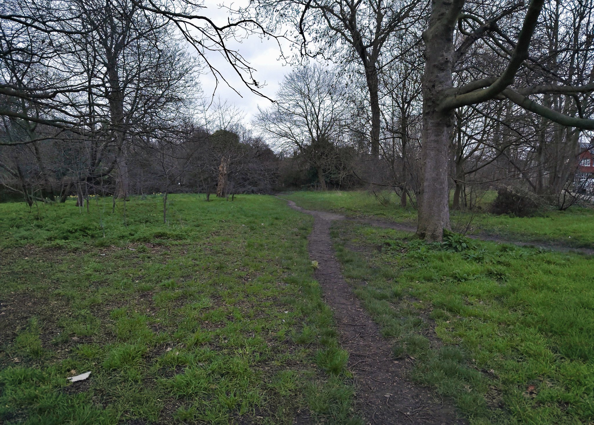 Path on Tooting Bec Common, dusk