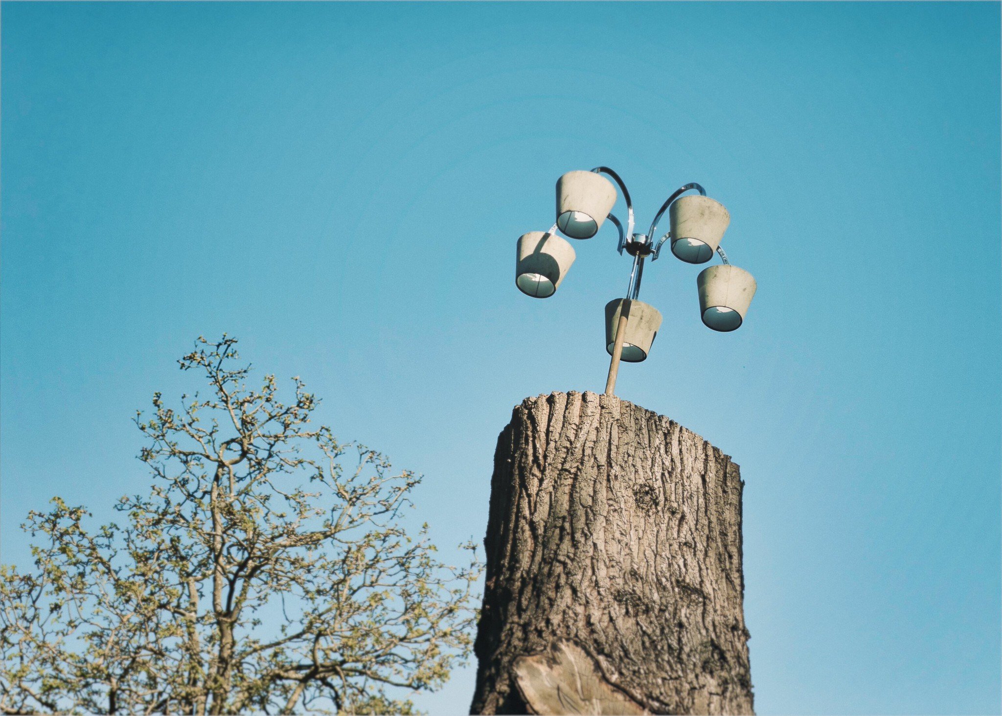 Lampstand. Tooting Bec Common