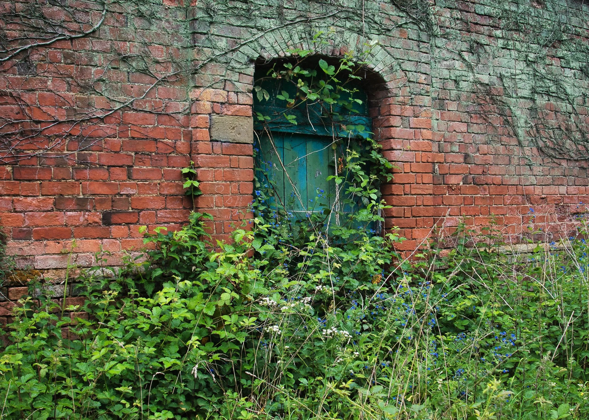 Garden door, Nonsuch Park