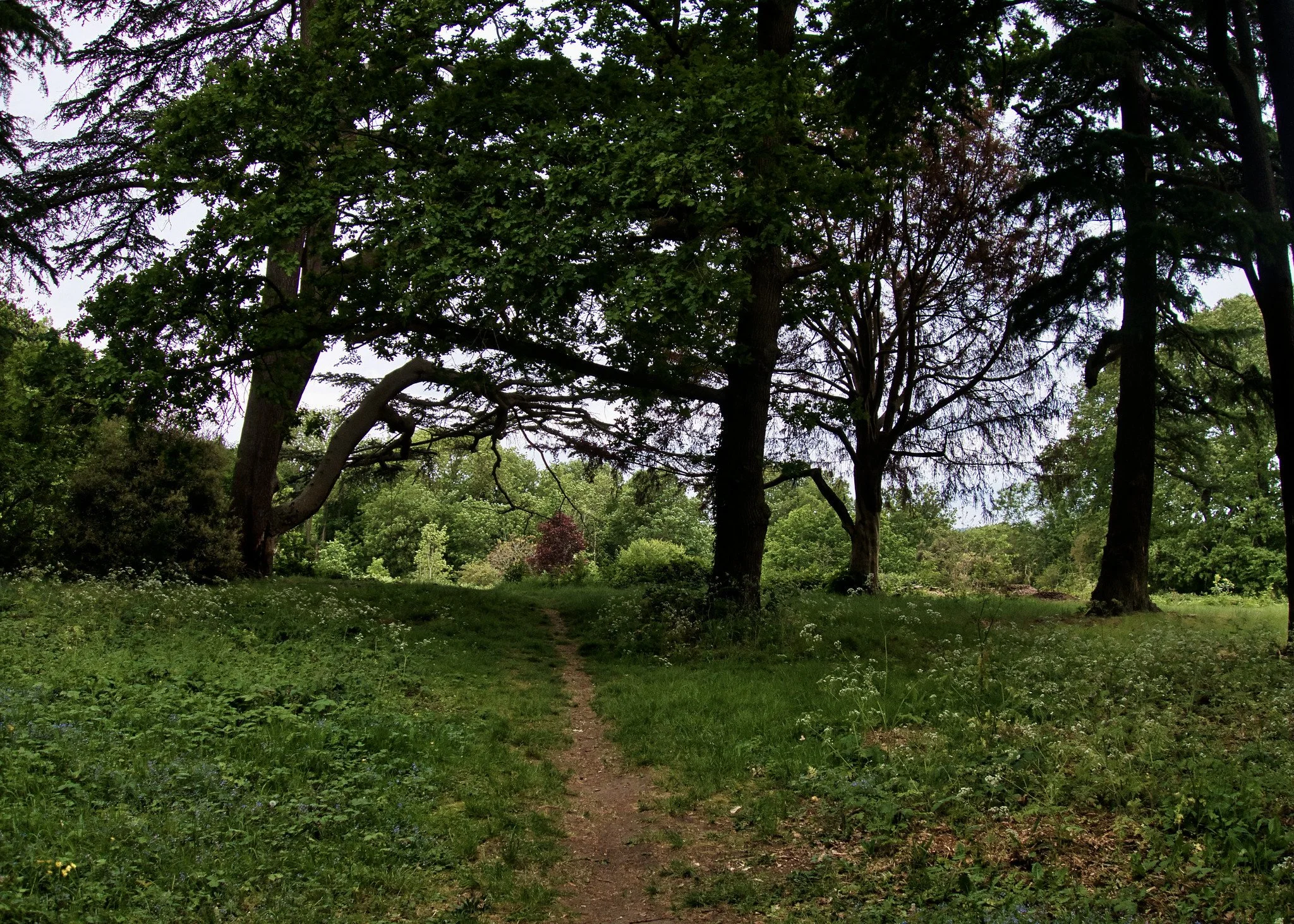 Banqueting House site, Nonsuch Park