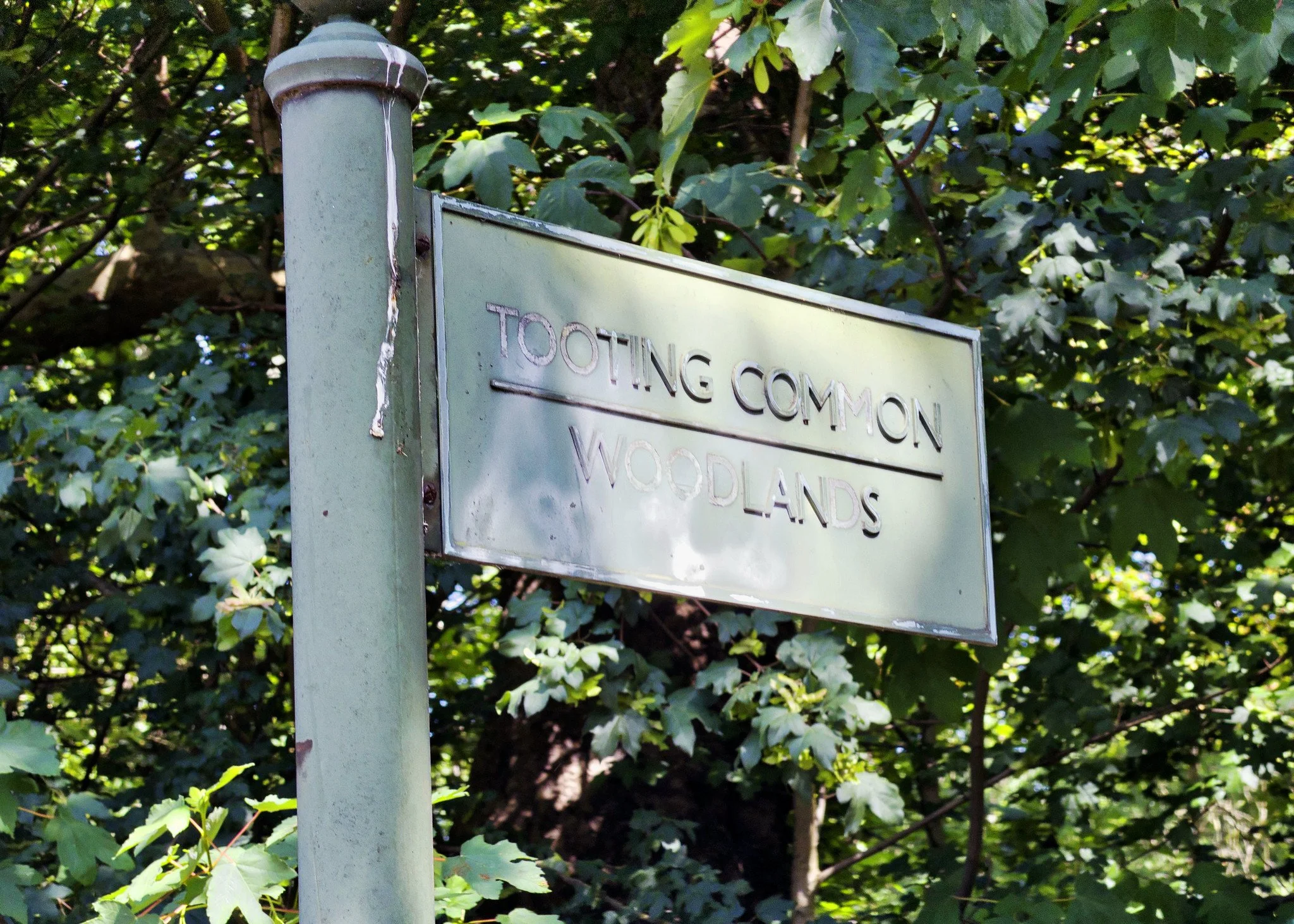 Tooting Common Woodlands sign