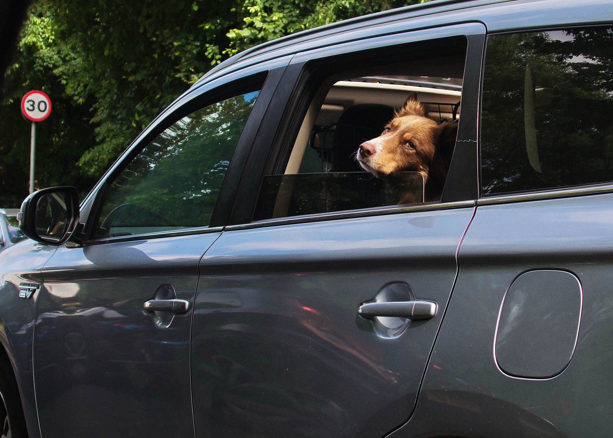 Passenger