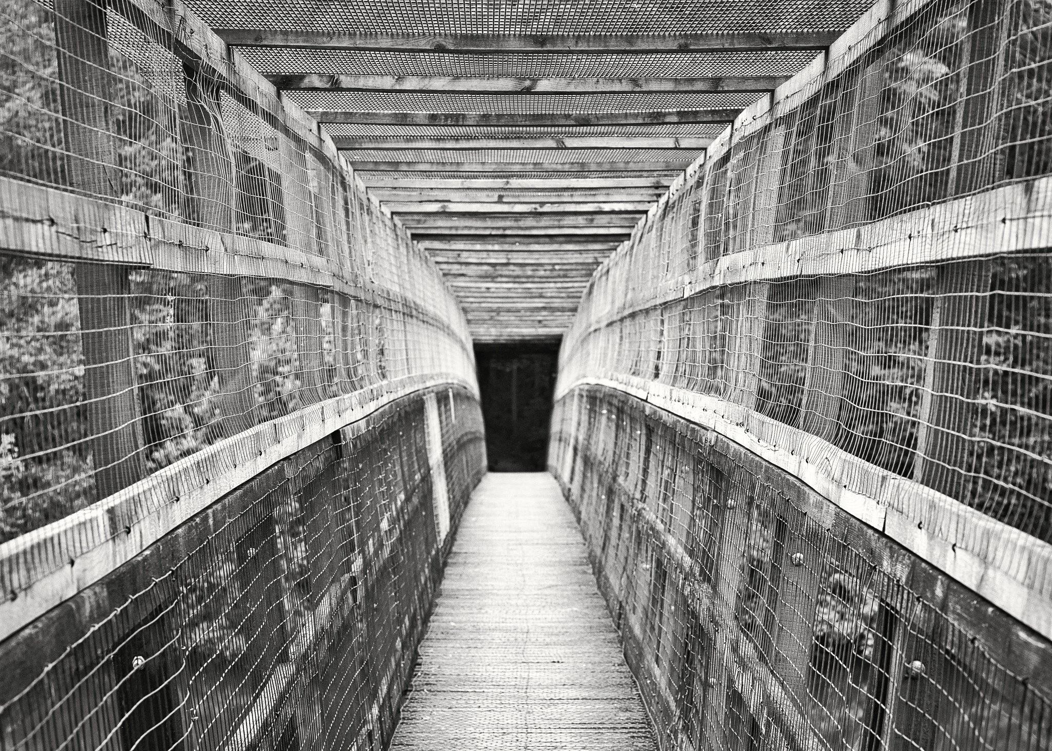 Bridge over Ardingly Reservoir