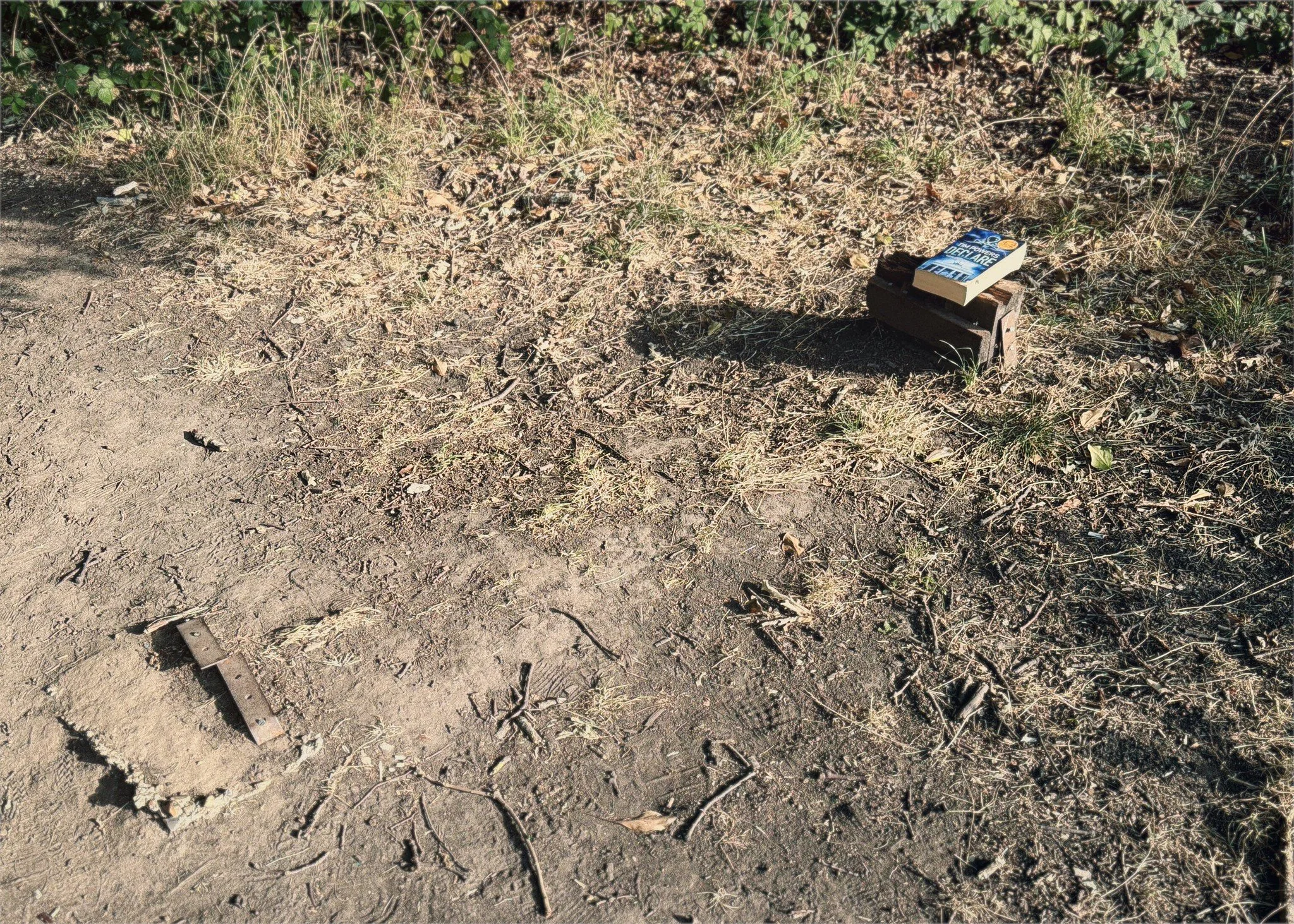 A book in a clearing on Tooting Common