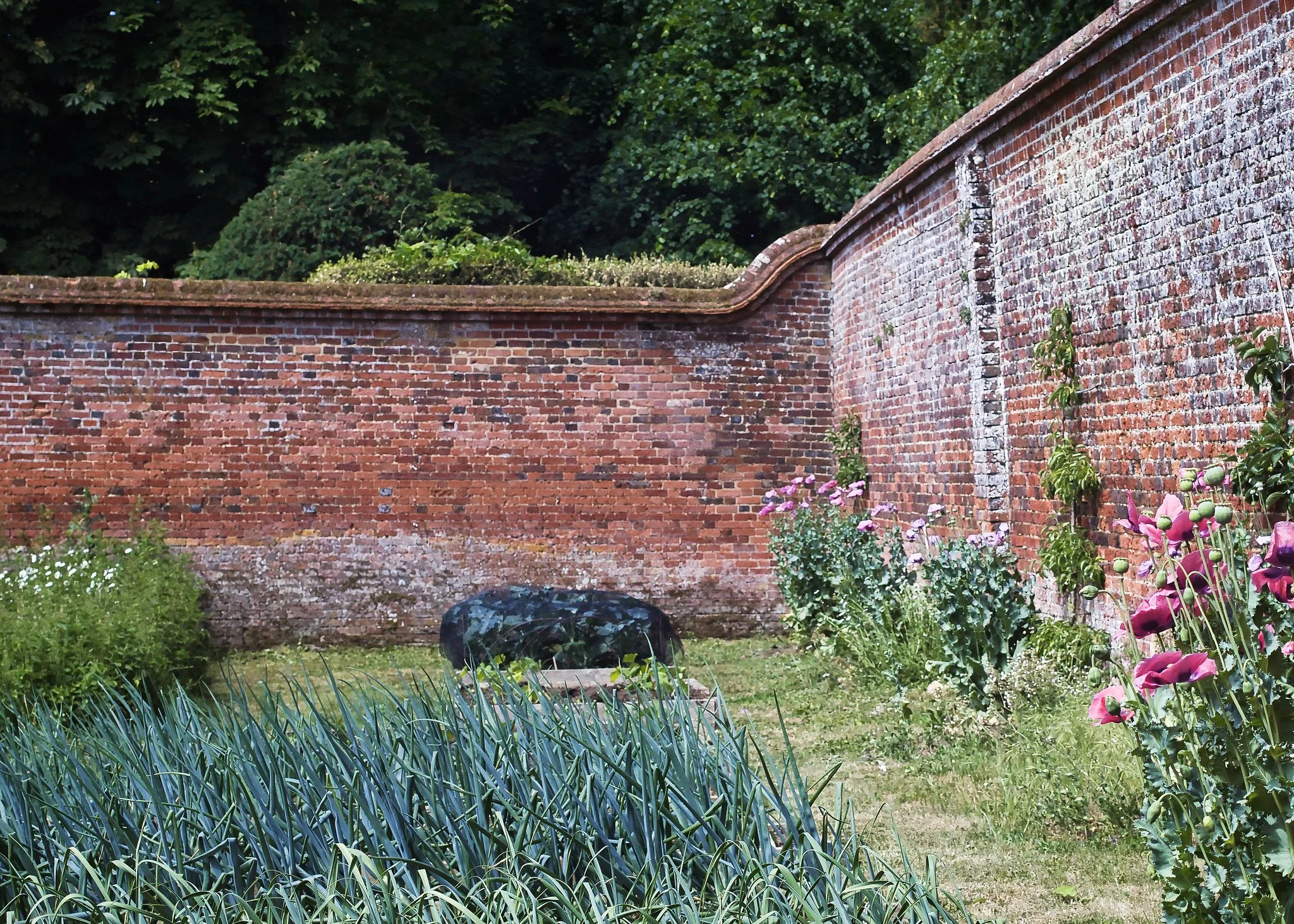 Walled gsrden corner, Hatchlands Park