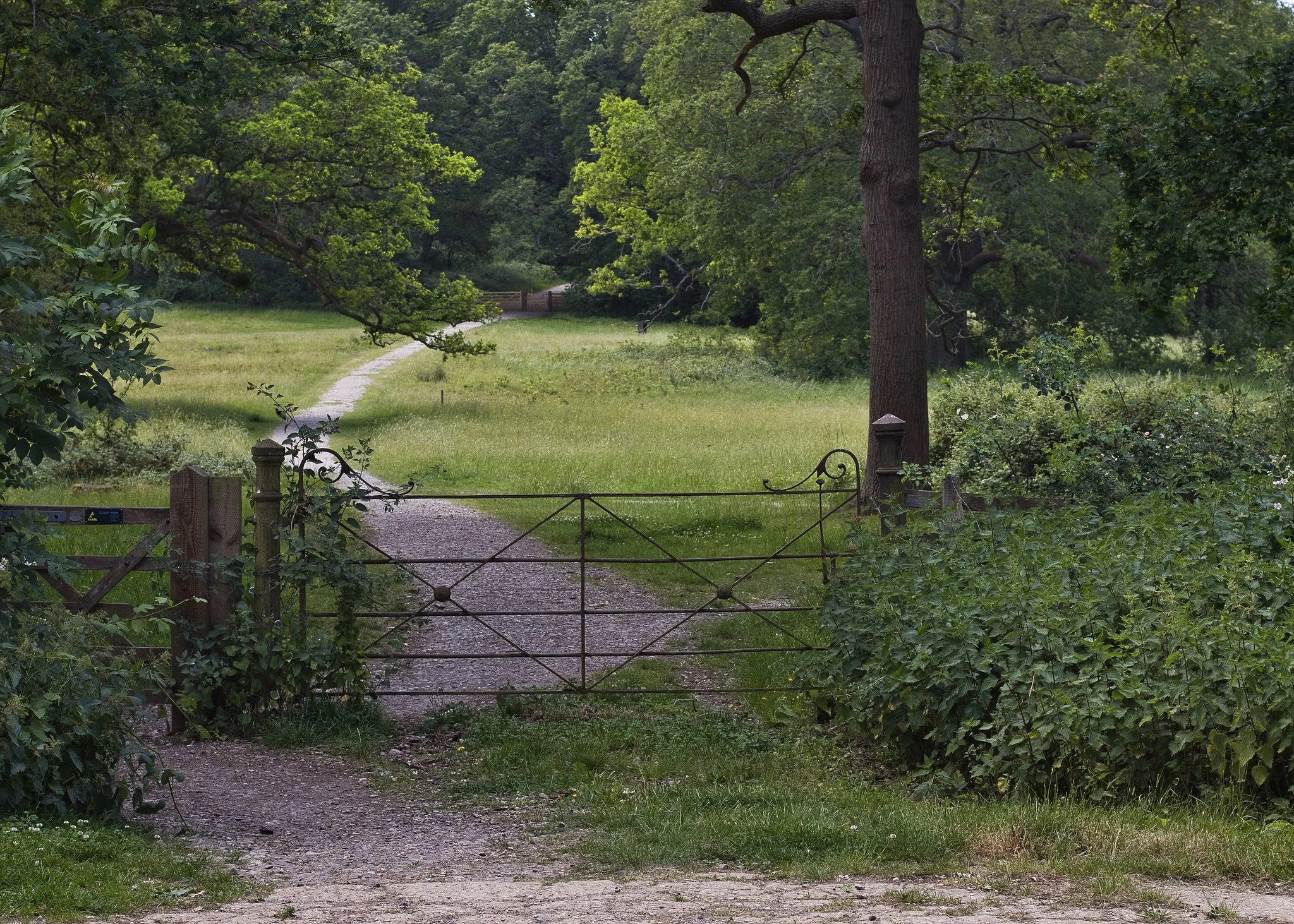 Old iron gate
