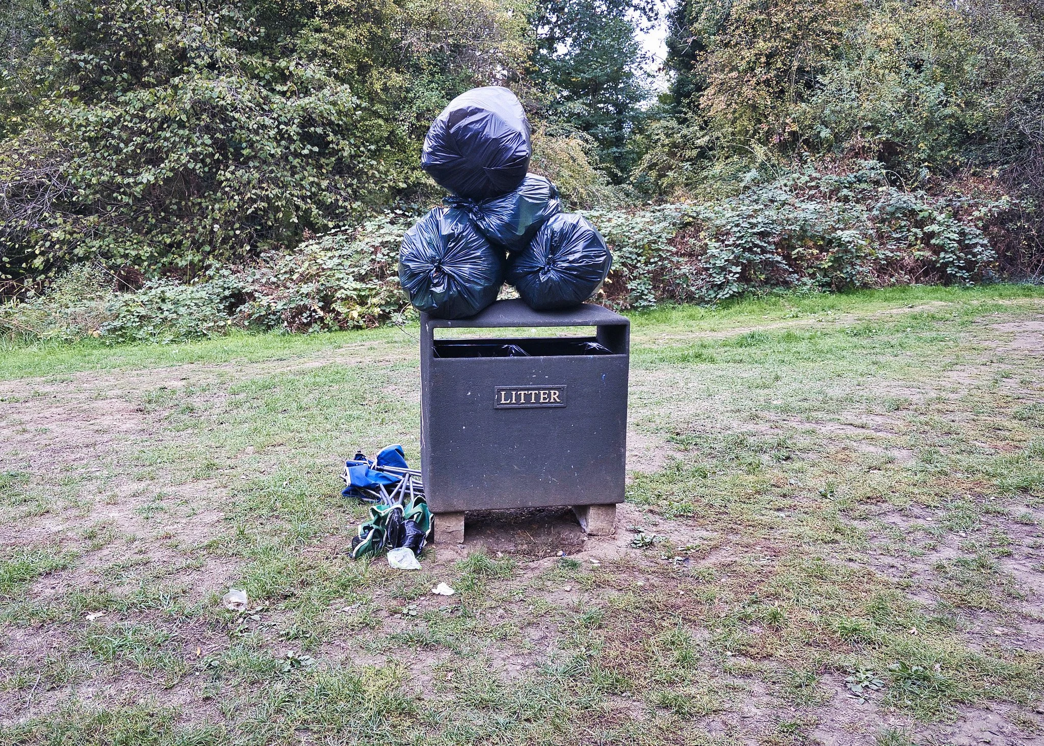 Woodland clearing, Tooting Bec Common