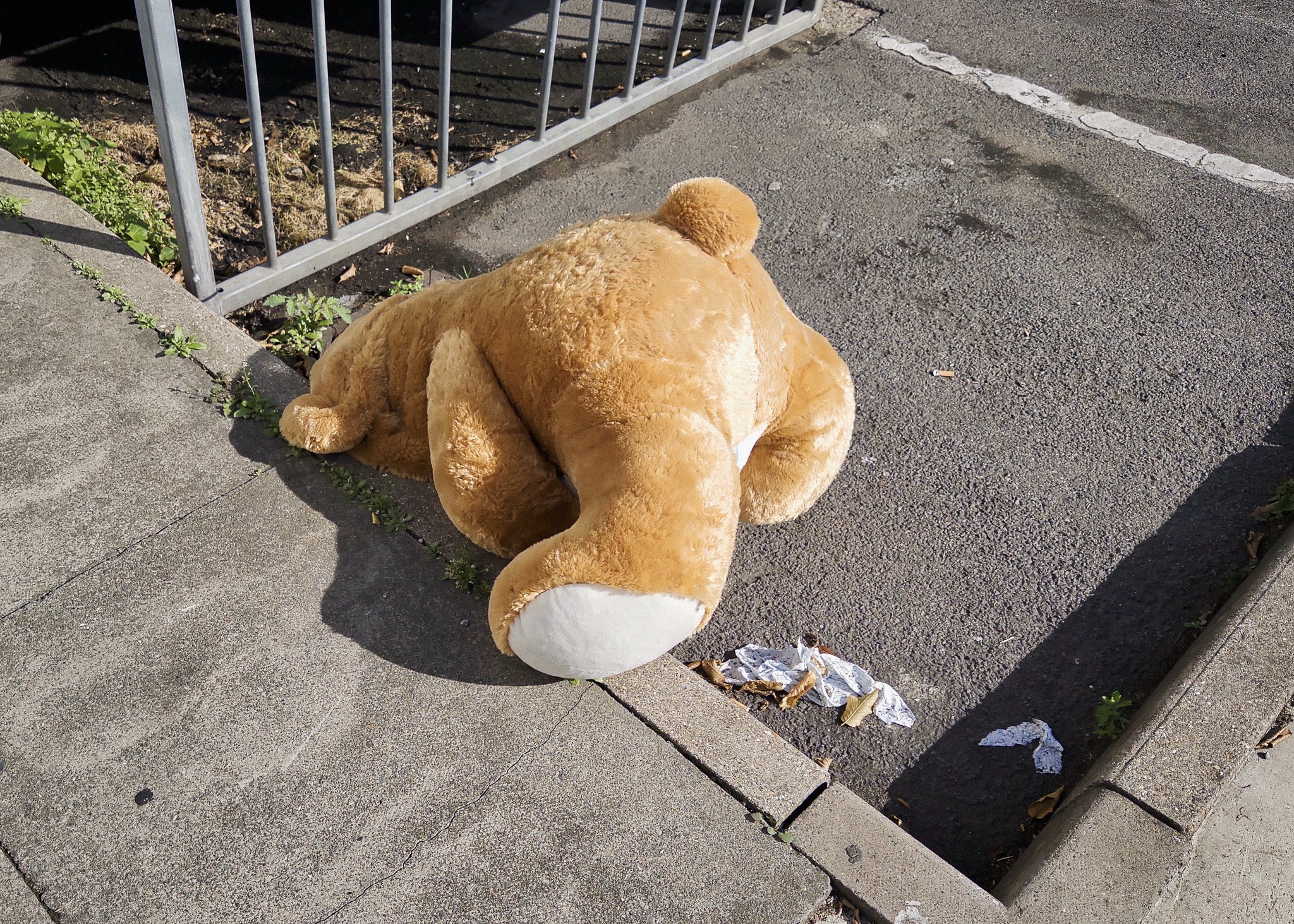 Discarded bear