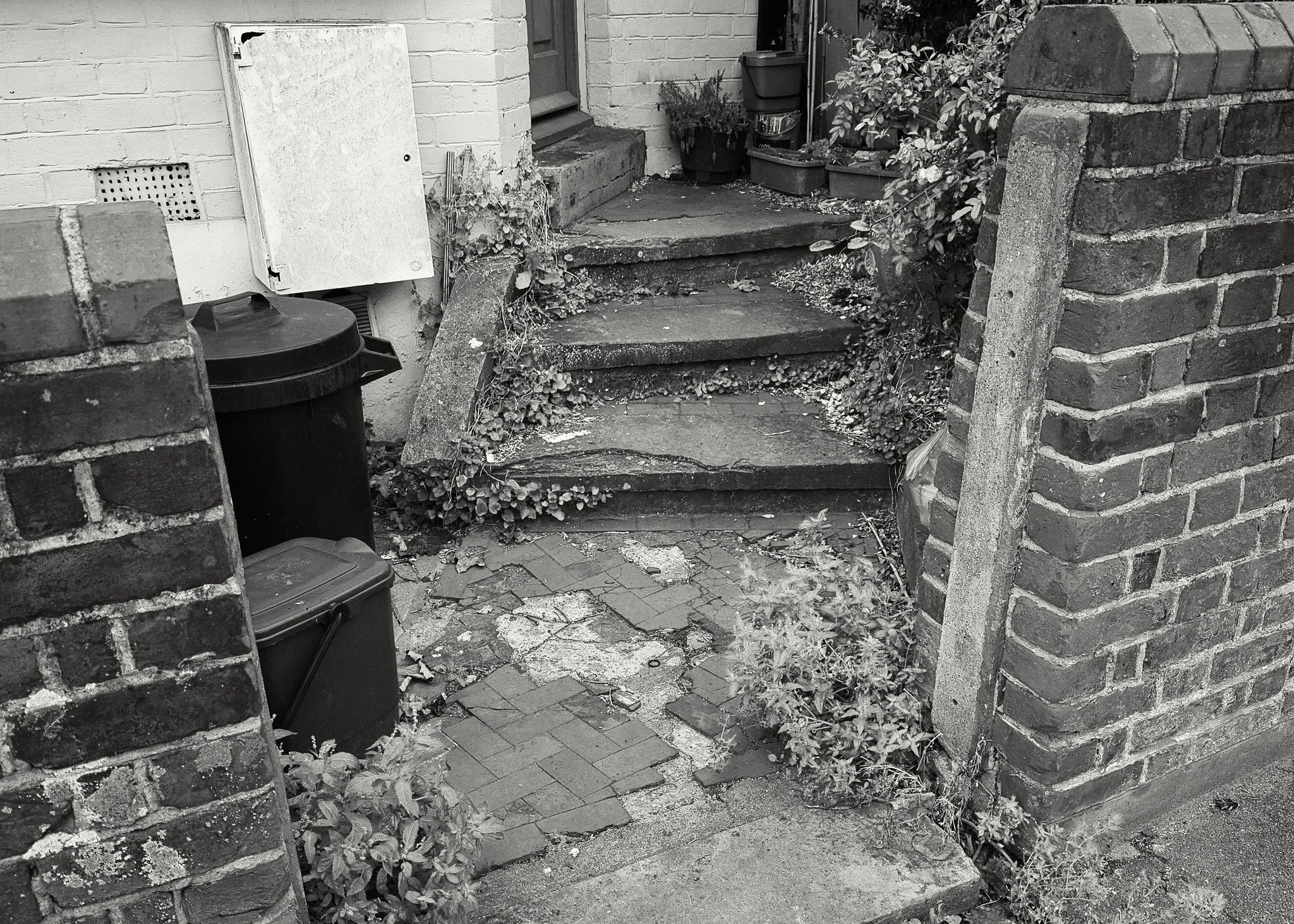 Front steps (British Front Gardens Series)