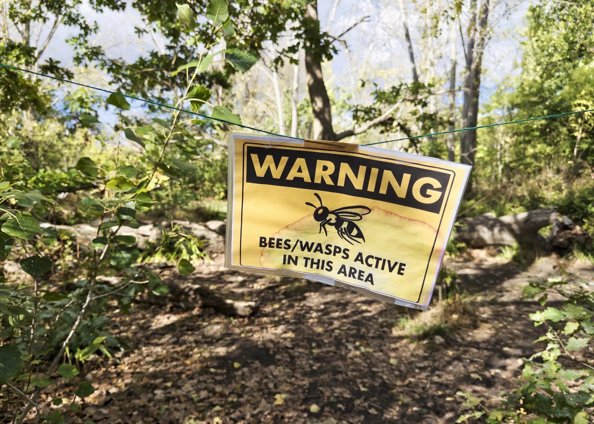 WARNING