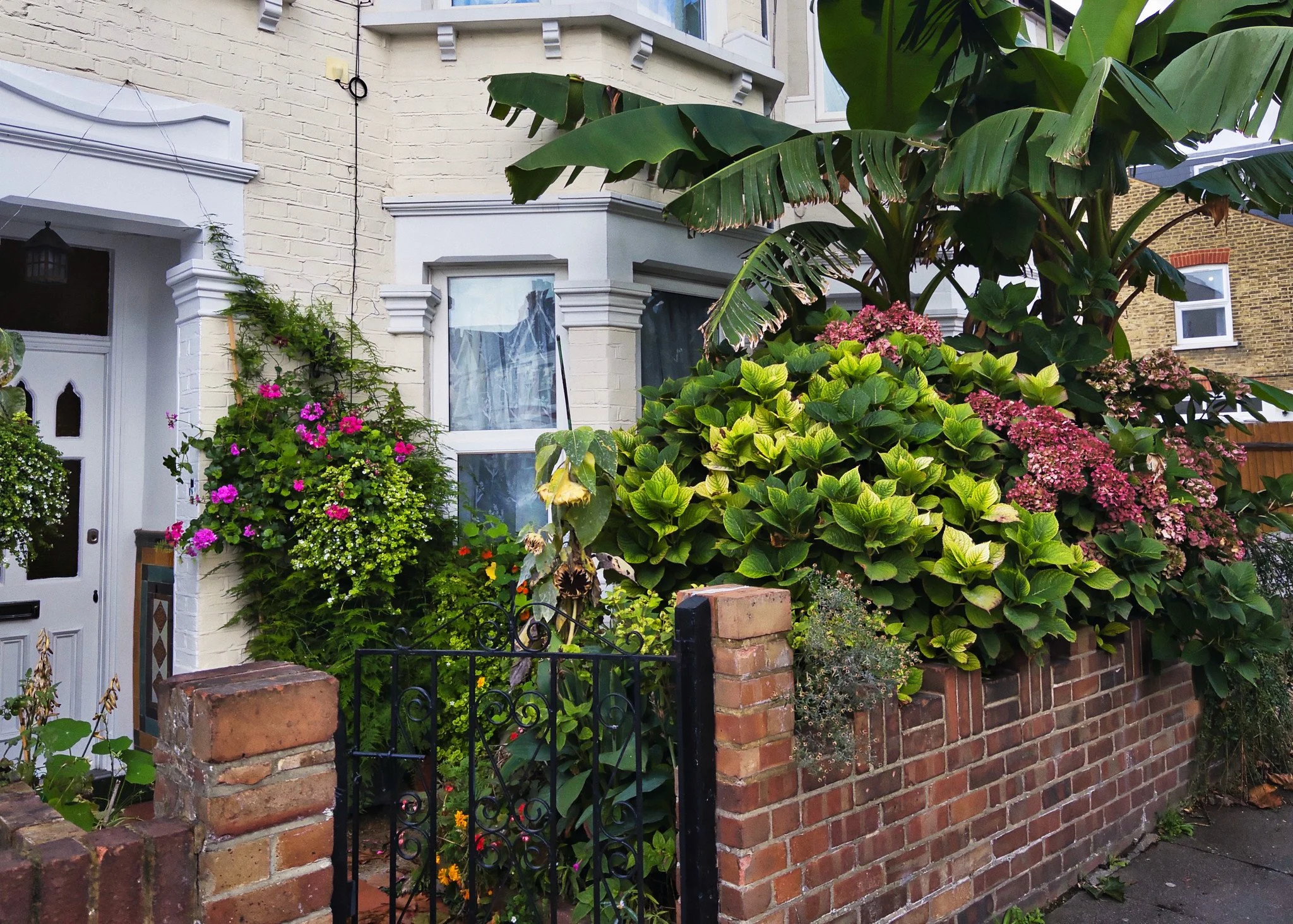 British Front Gardens Series